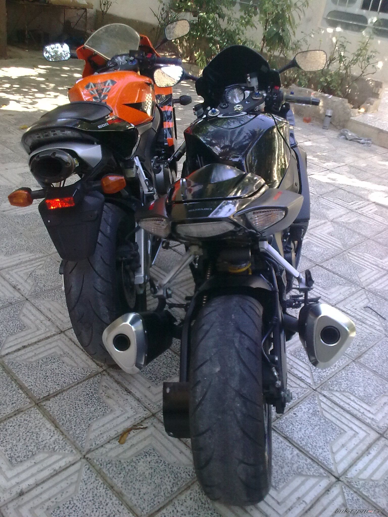 2006 HONDA CBR 600 RR | Picture 2156119 motorcycle photo
