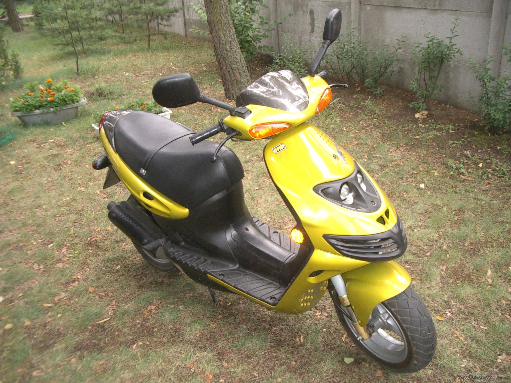 1998 SUZUKI AP 50 | Picture 215648 motorcycle photo