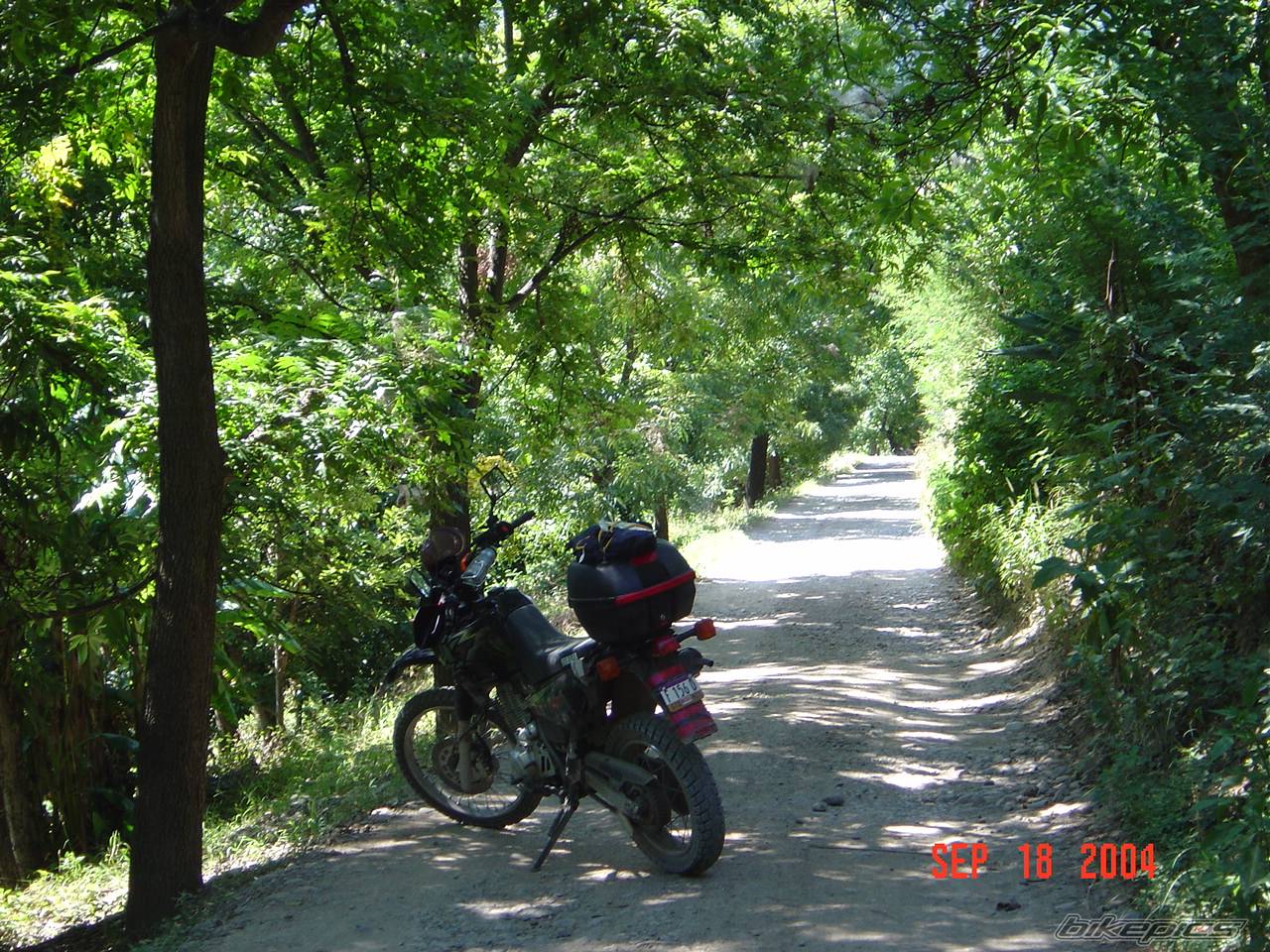 2001 YAMAHA XT 600 | Picture 215736 motorcycle photo