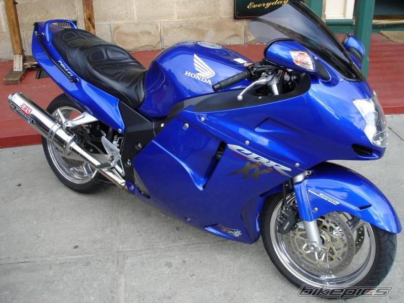 2003 HONDA CBR 1100 BLACKBIRD | Picture 215943 motorcycle photo