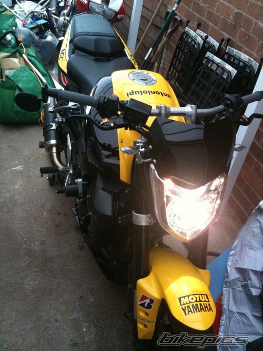 2008 YAMAHA FZ1 NAKED | Picture 2159984 motorcycle photo