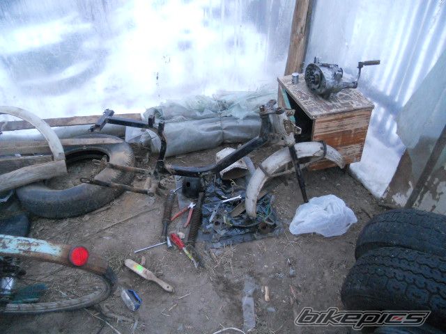 1979 JAWA MUSTANG 50 | Picture 2160047 motorcycle photo