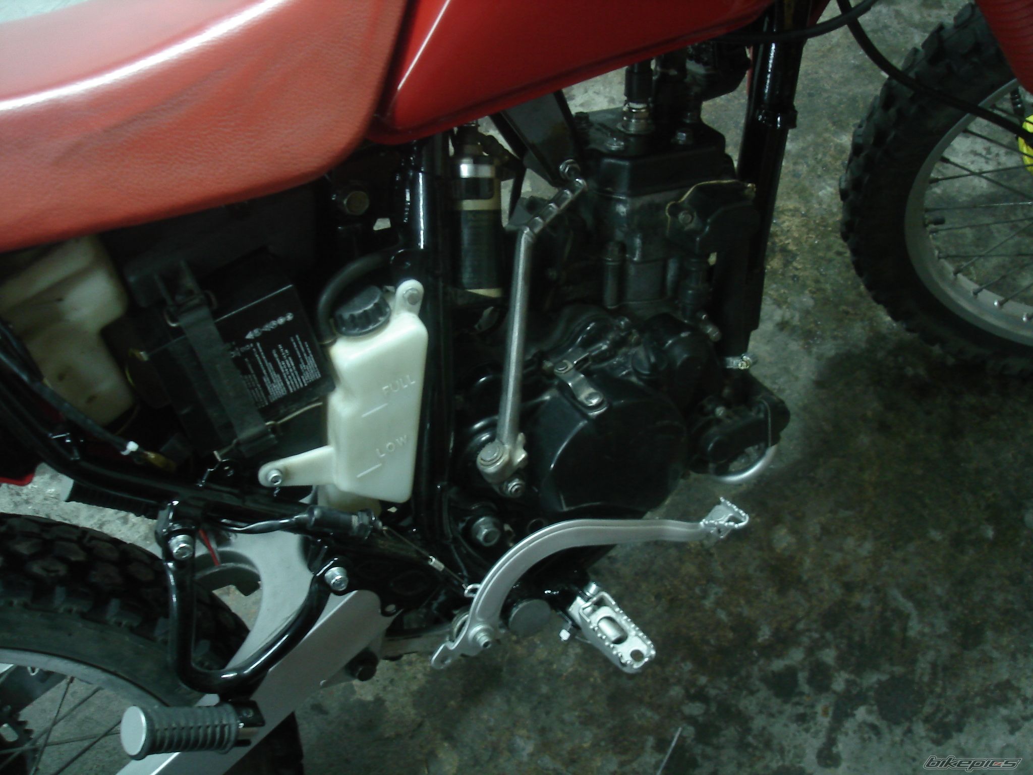 1997 KAWASAKI KMX 125 | Picture 2160409 motorcycle photo