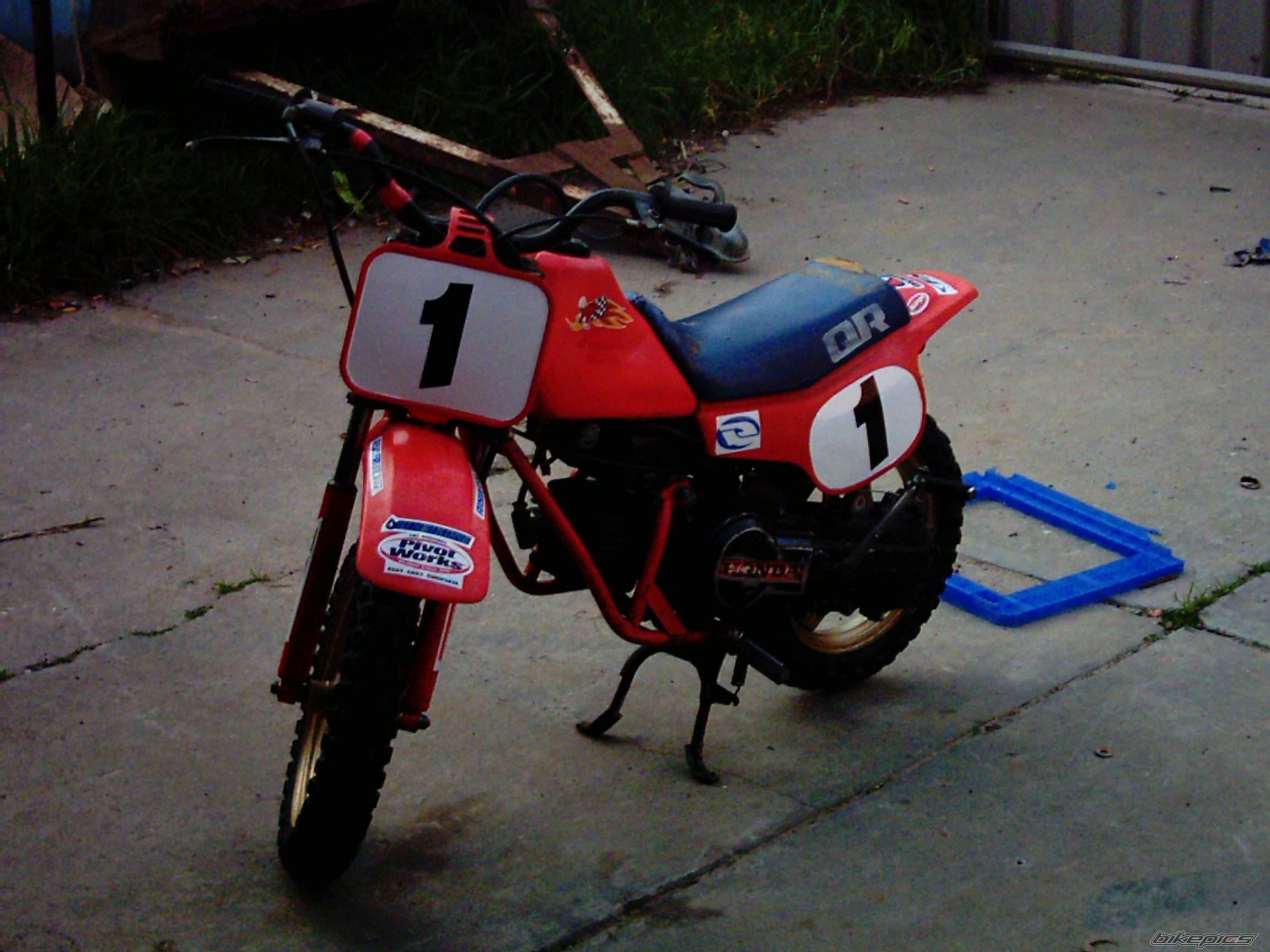 1985 HONDA QR 50 | Picture 216064 motorcycle photo