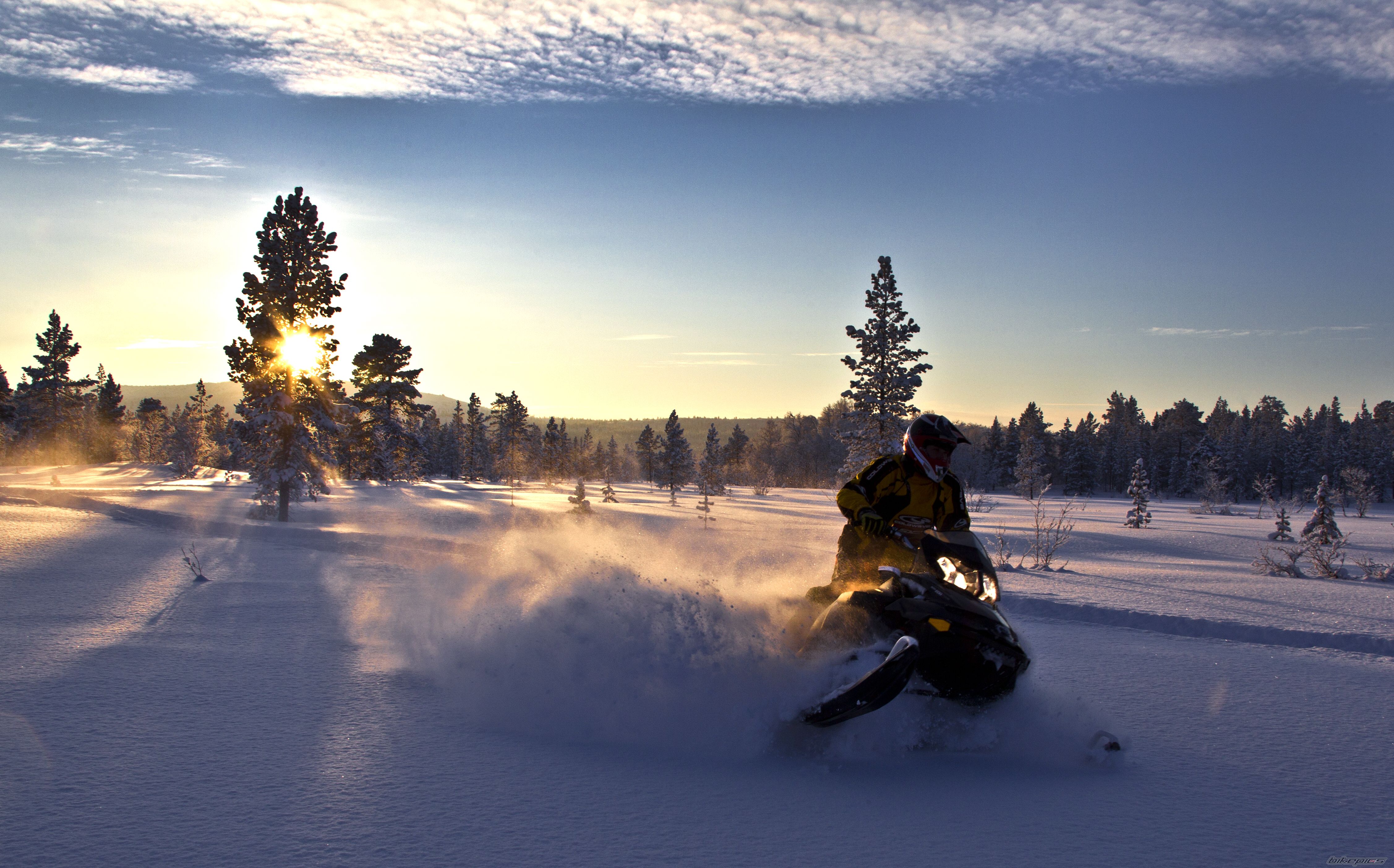 2010 SKI DOO MXZ 800 RENEGADE | Picture 2160792 motorcycle photo