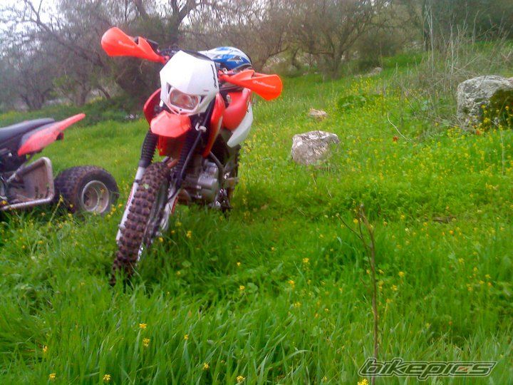 2005 HONDA XR 125 | Picture 2161177 motorcycle photo