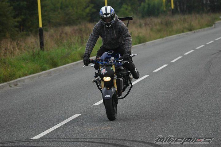 2005 SUZUKI GSXR | Picture 2161643 motorcycle photo