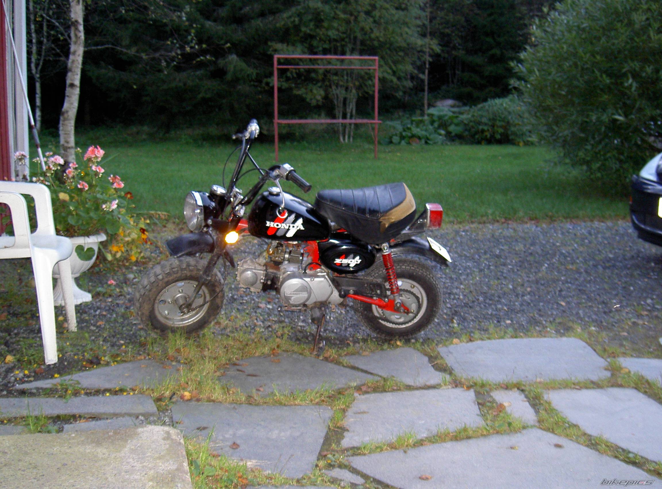 1999 HONDA Z 50 | Picture 216170 motorcycle photo
