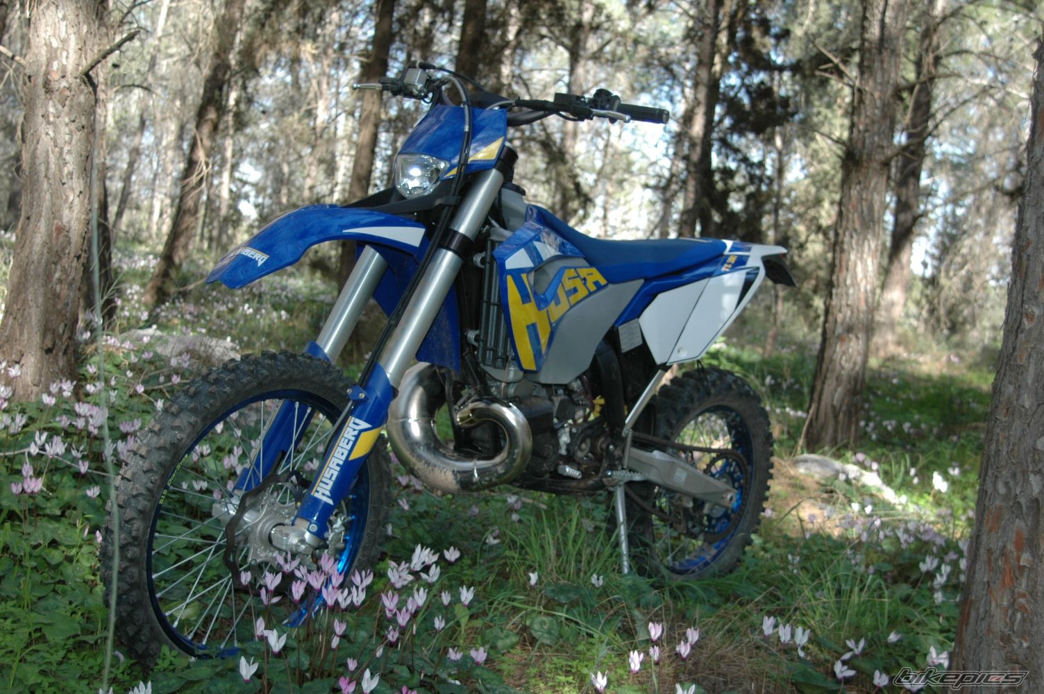 2011 HUSABERG TE300 | Picture 2161888 motorcycle photo