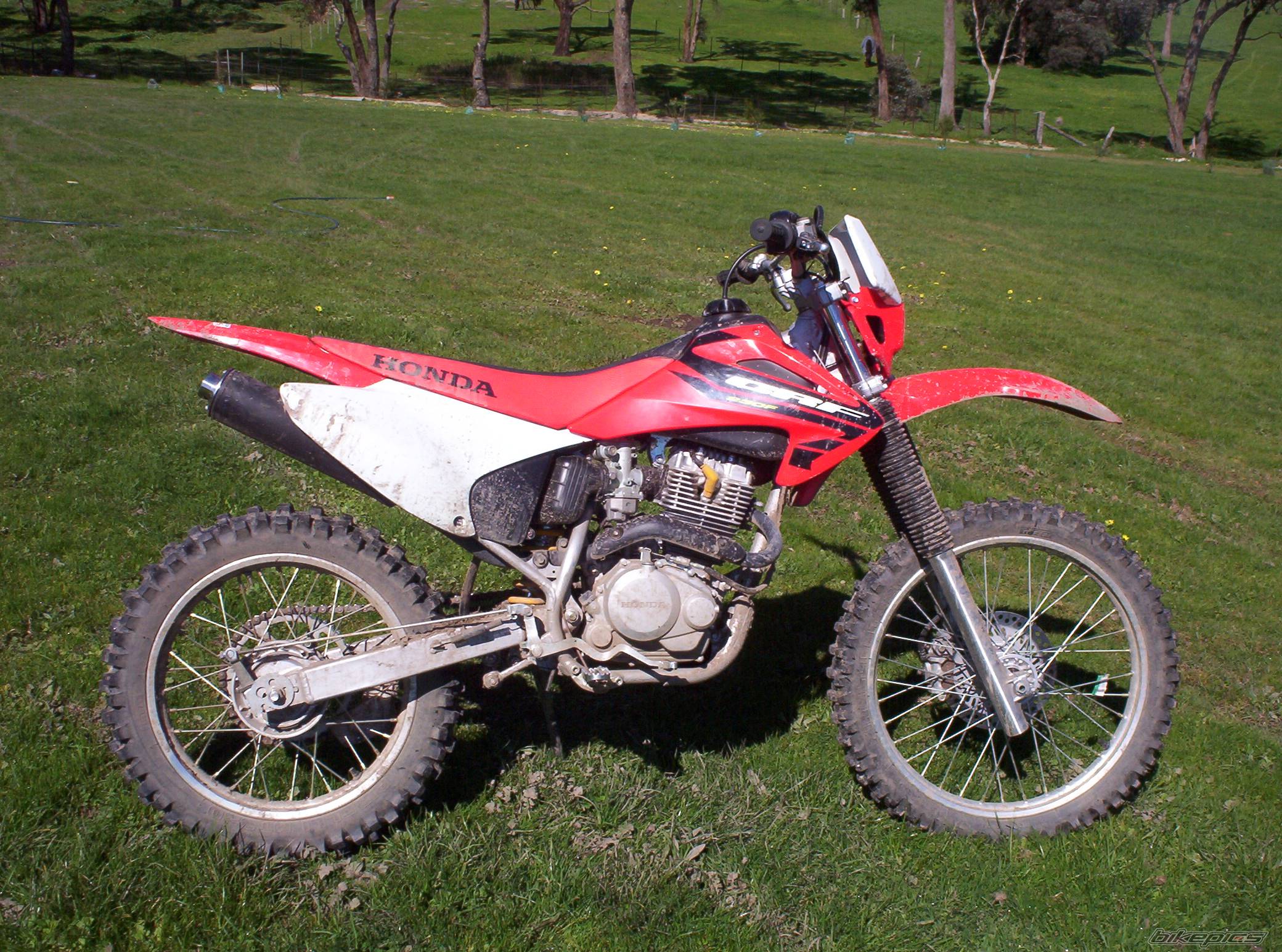 2004 HONDA CRF 230 | Picture 216201 motorcycle photo