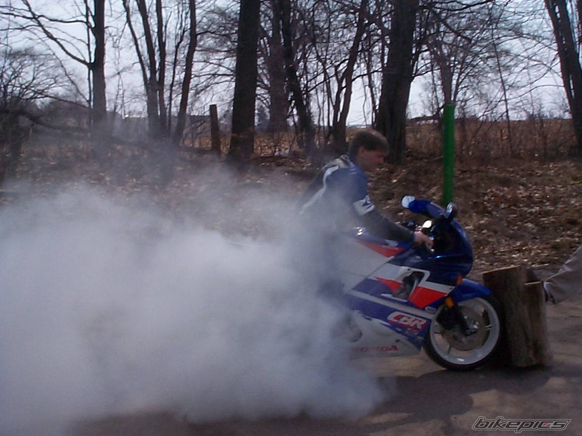 1993 HONDA CBR 600 | Picture 2163 motorcycle photo
