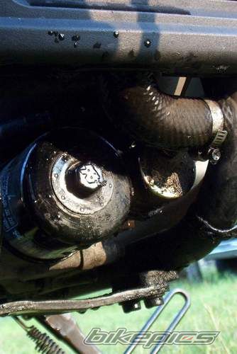 1993 SUZUKI VX 800 | Picture 2163171 motorcycle photo