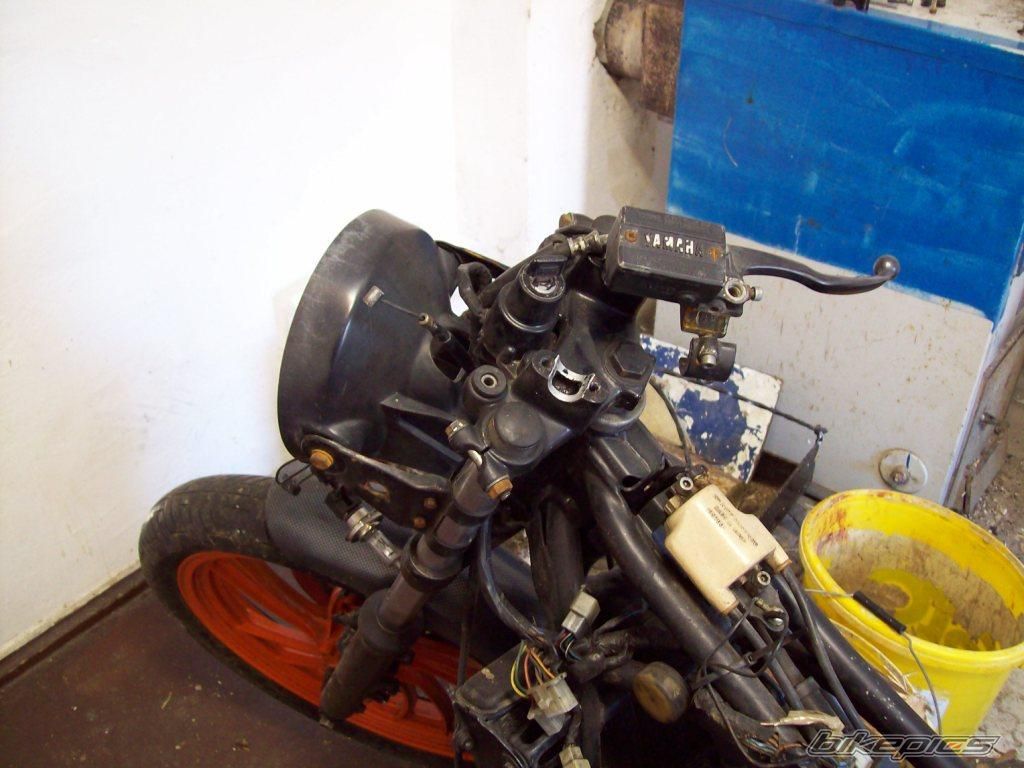 1983 YAMAHA RD 250 | Picture 2164073 motorcycle photo