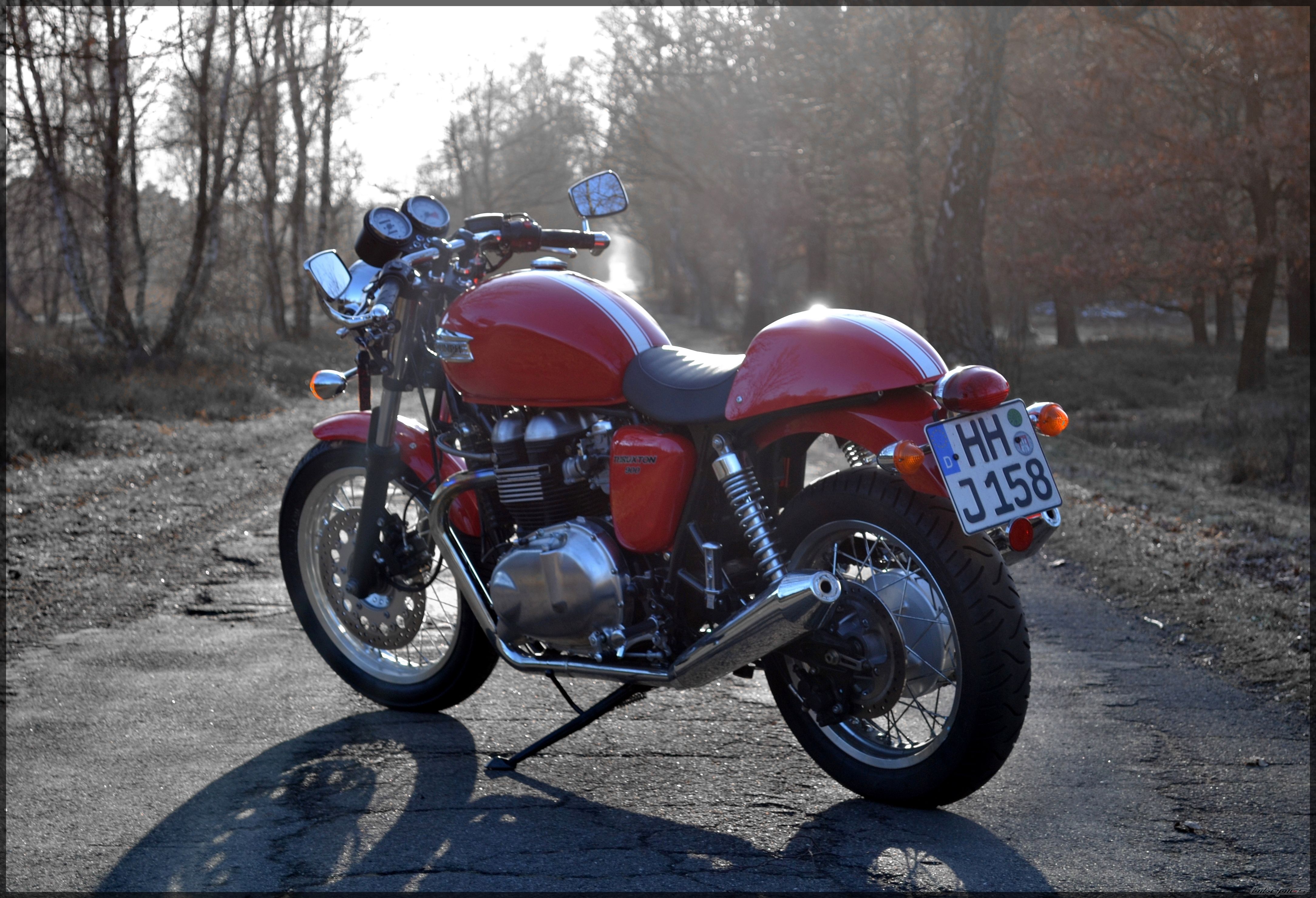 2010 TRIUMPH THRUXTON 900 | Picture 2164333 motorcycle photo