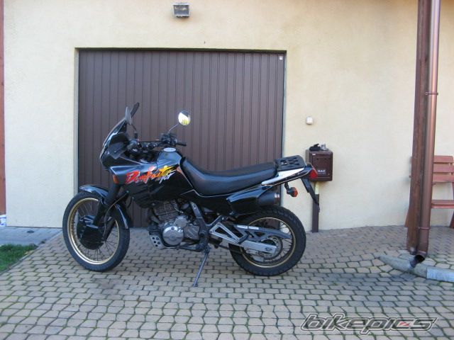 1994 HONDA NX 650 DOMINATOR | Picture 2165447 motorcycle photo