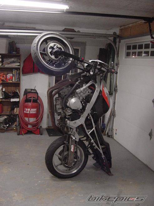 1993 HONDA CBR 600 | Picture 216556 motorcycle photo