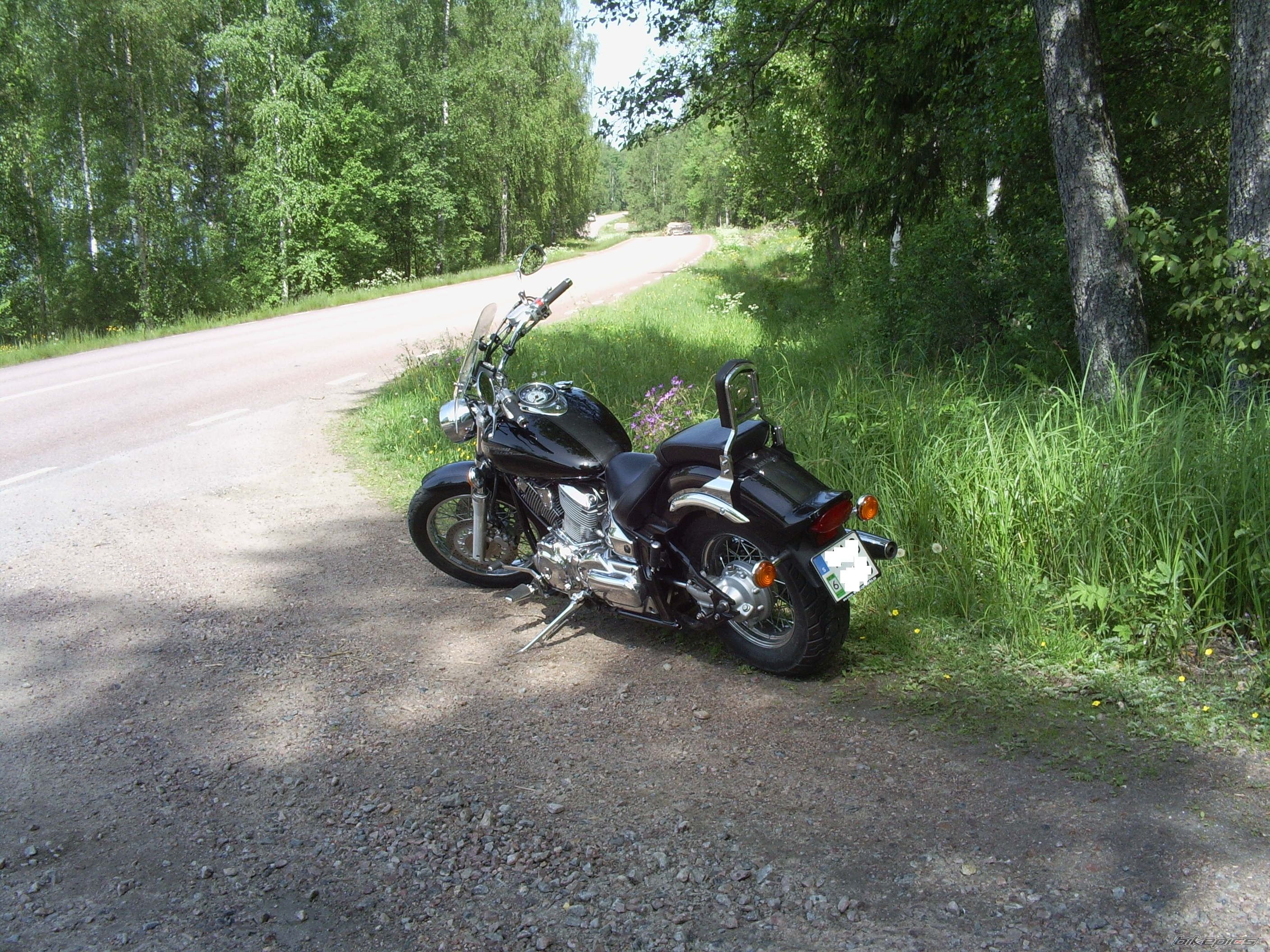 2004 YAMAHA XVS 1100 | Picture 2166611 motorcycle photo