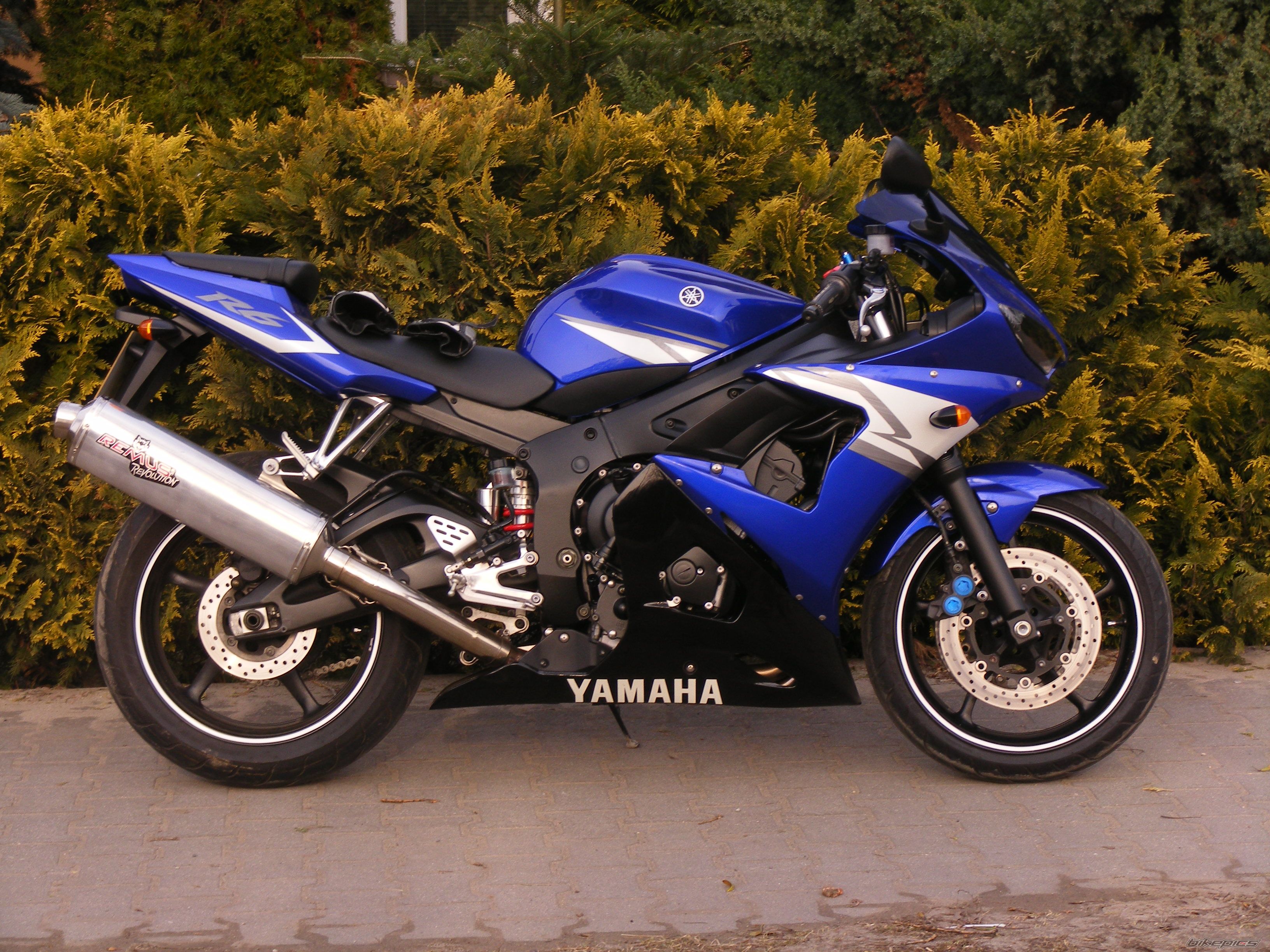 2004 YAMAHA YZF R6 | Picture 2167359 motorcycle photo
