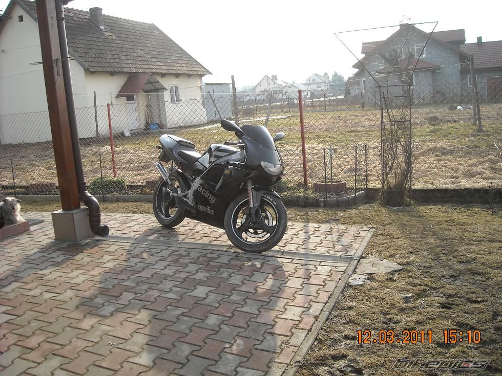 1997 APRILIA RS 50 | Picture 2167641 motorcycle photo