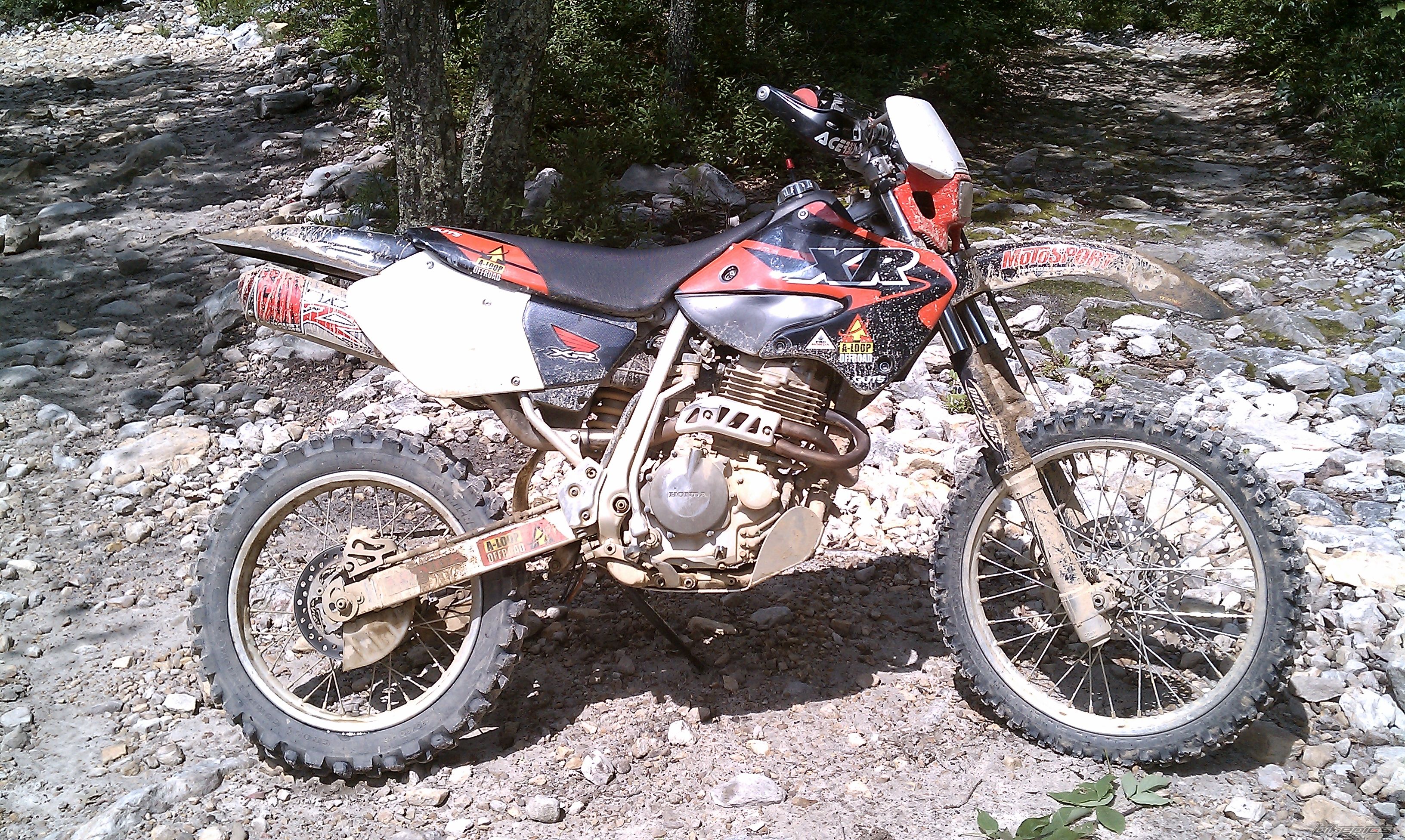 2002 HONDA XR 400 | Picture 2167749 motorcycle photo