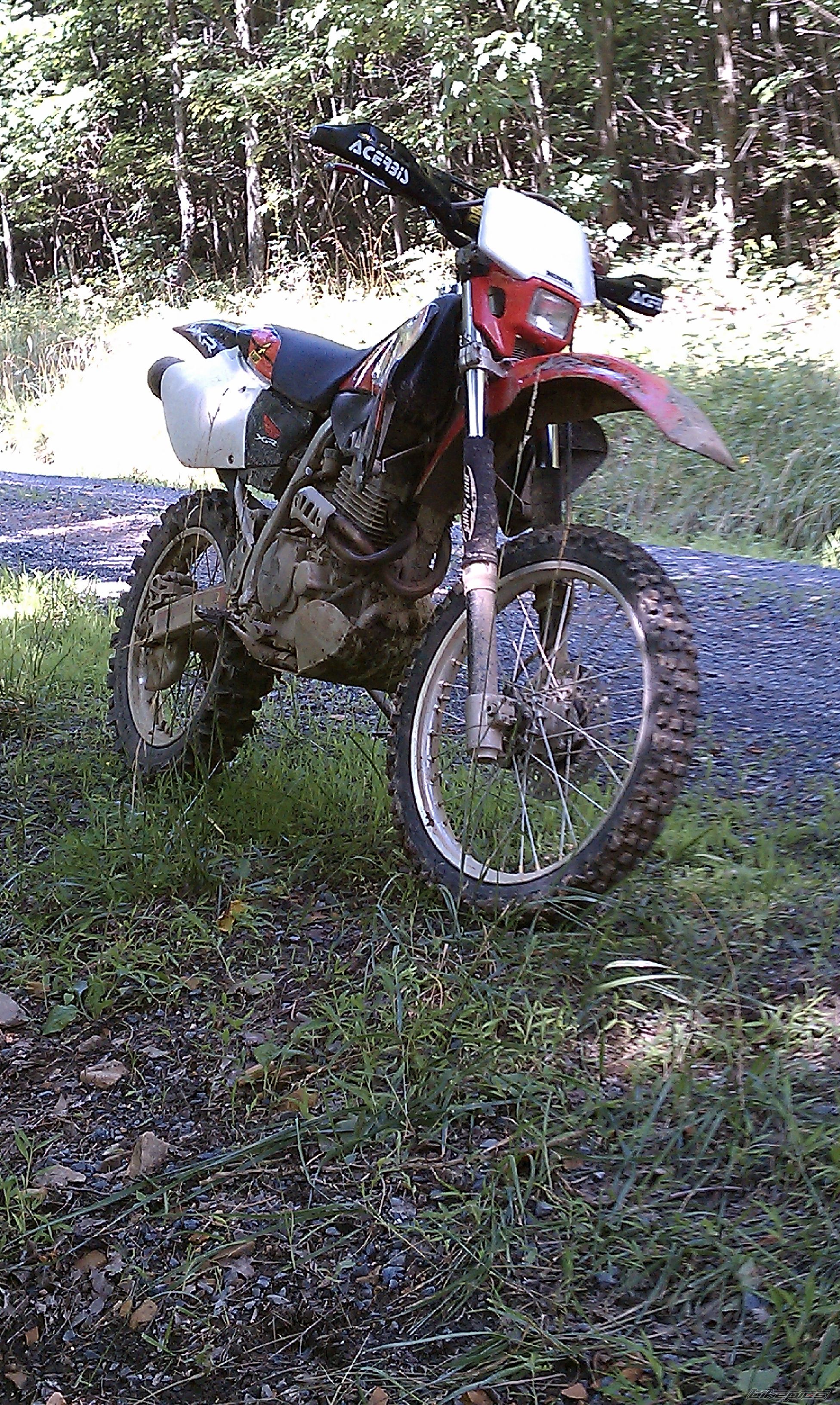 2002 HONDA XR 400 | Picture 2167752 motorcycle photo