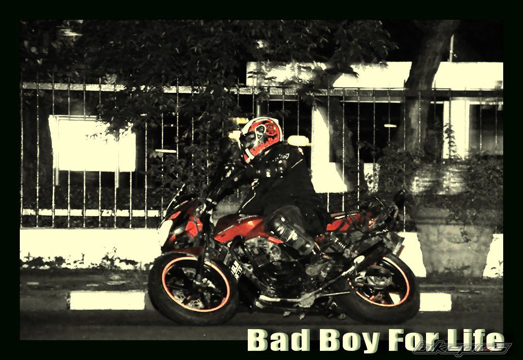 2008 BAJAJ PULSAR 200 | Picture 2167919 motorcycle photo