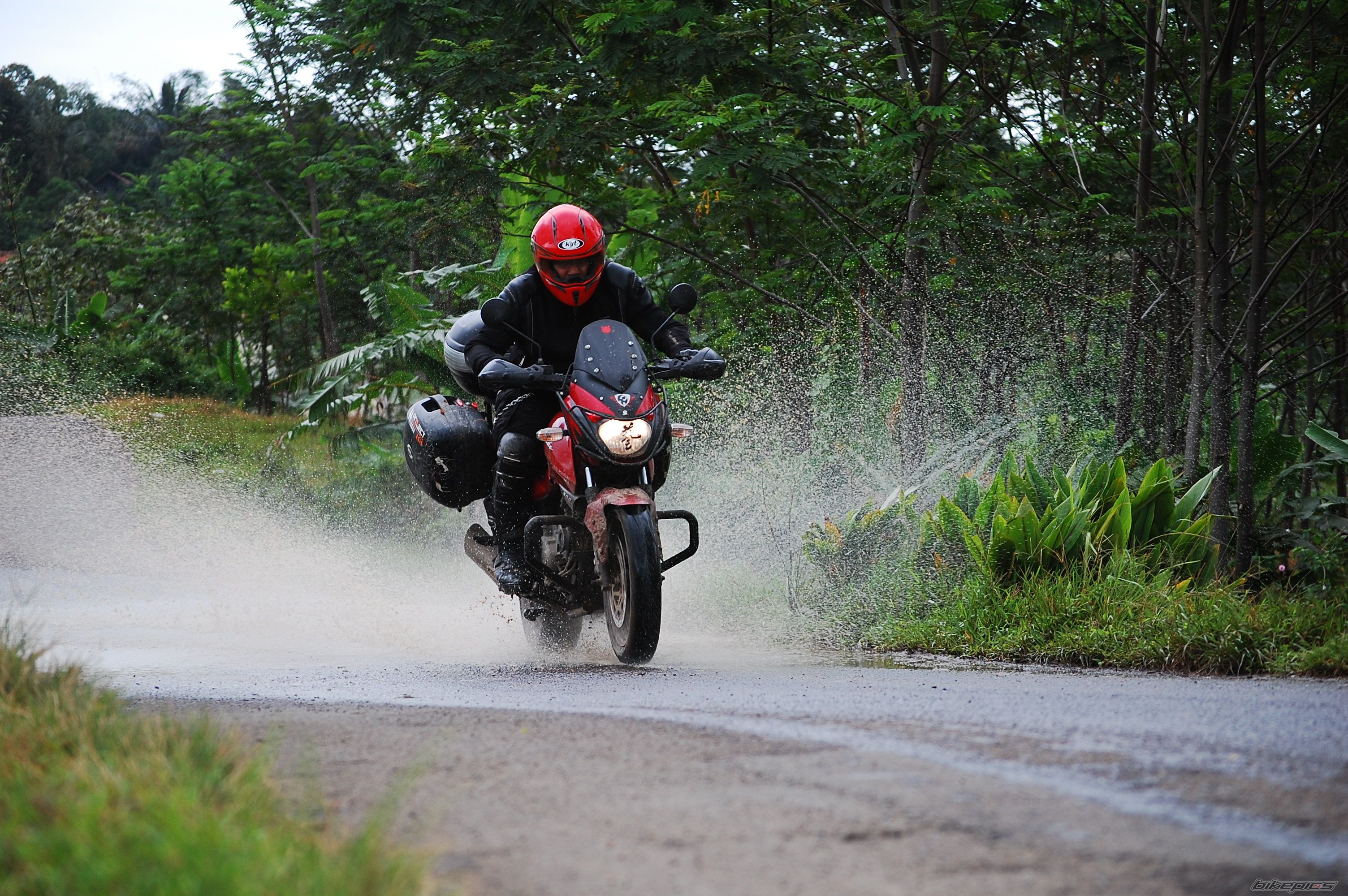 2008 BAJAJ PULSAR 200 | Picture 2167923 motorcycle photo