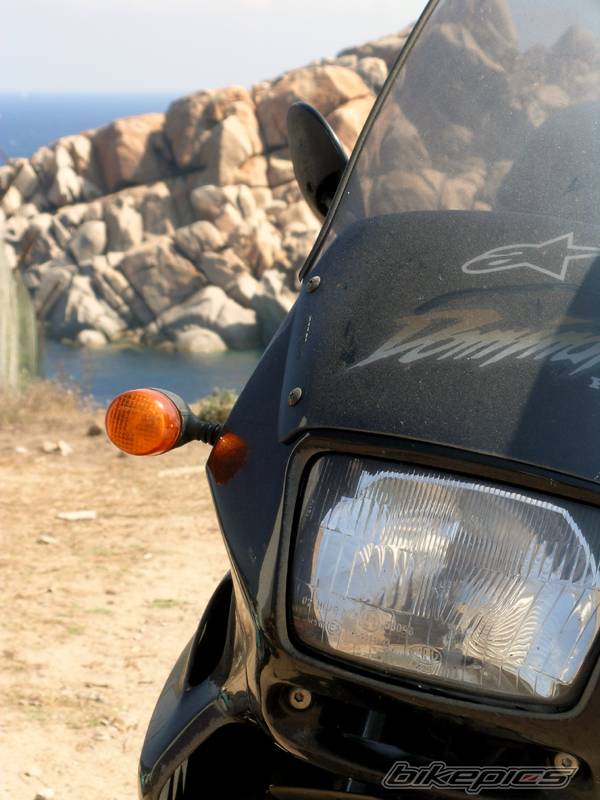 2004 HONDA NX 650 DOMINATOR | Picture 216819 motorcycle photo