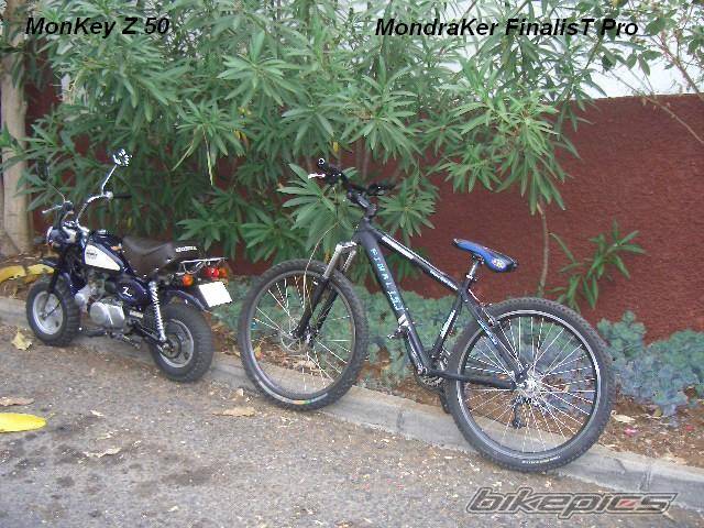 1997 HONDA Z 50 | Picture 216846 motorcycle photo