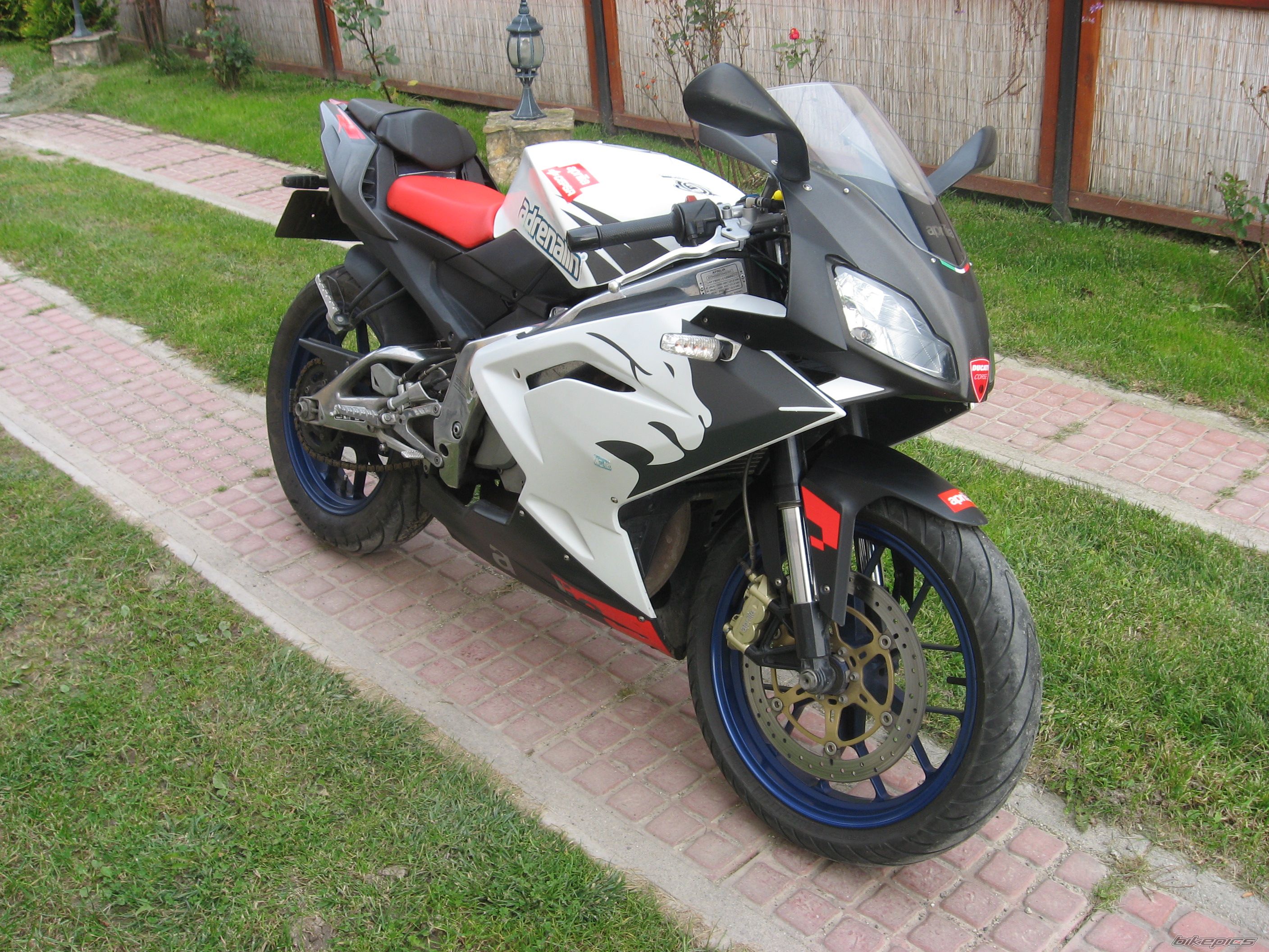2006 APRILIA RS 125 | Picture 2169055 motorcycle photo