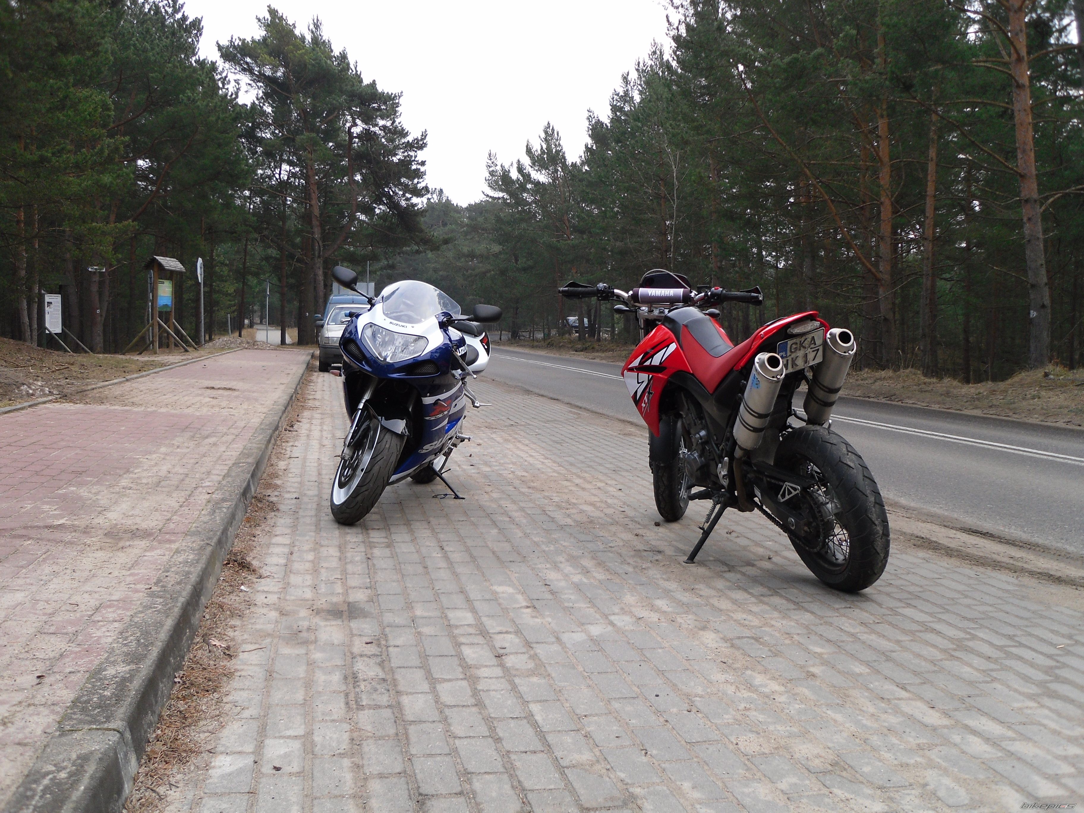 2004 SUZUKI GSX R 750 | Picture 2169057 motorcycle photo
