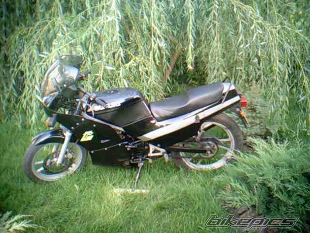 1992 SUZUKI RG 80 | Picture 216908 motorcycle photo