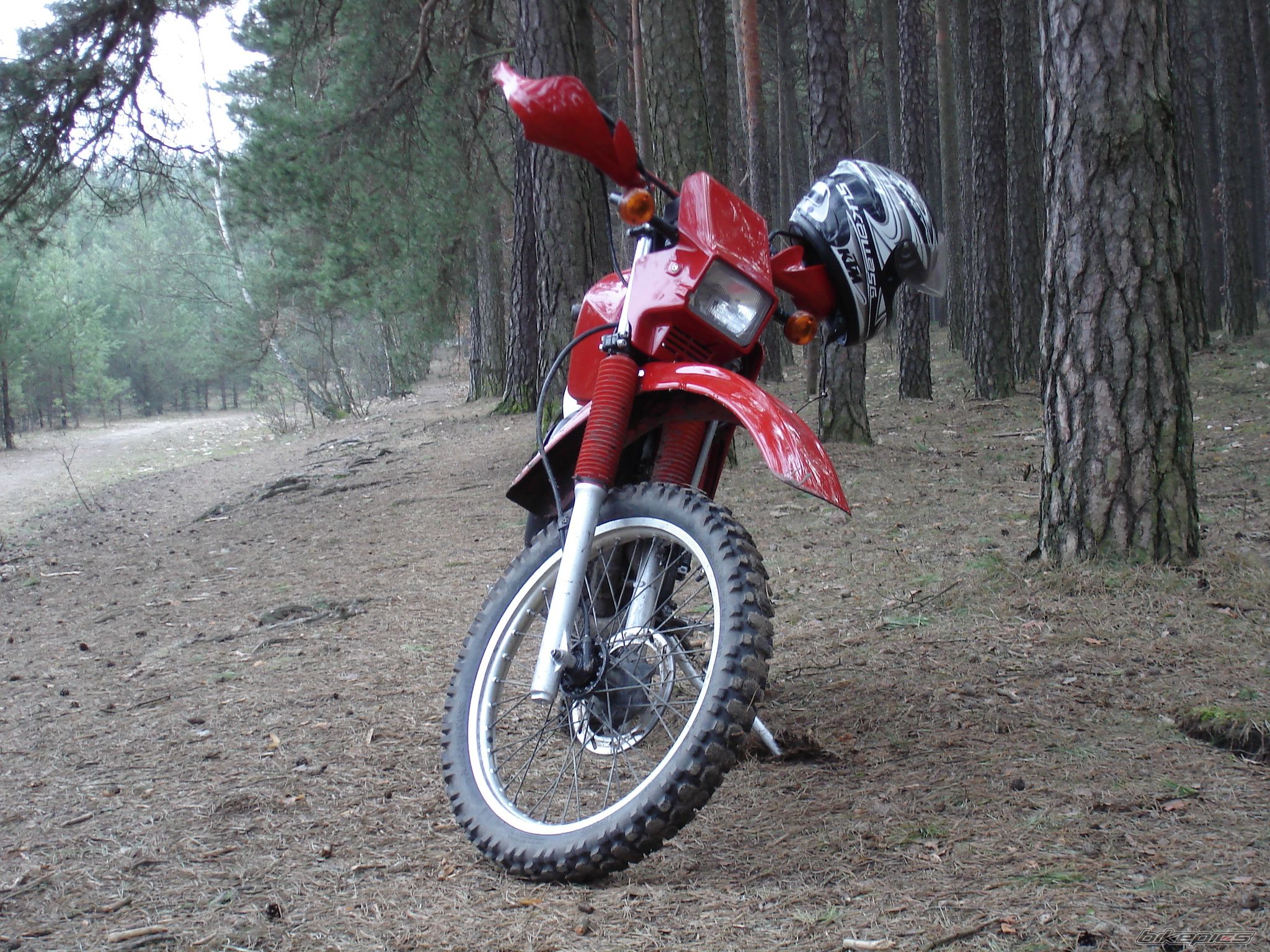 1997 KAWASAKI KMX 125 | Picture 2169130 motorcycle photo