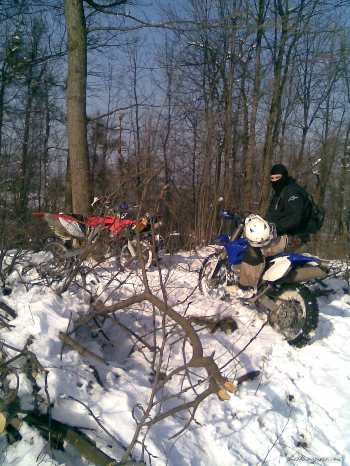 2008 YAMAHA WR 450F | Picture 2169496 motorcycle photo