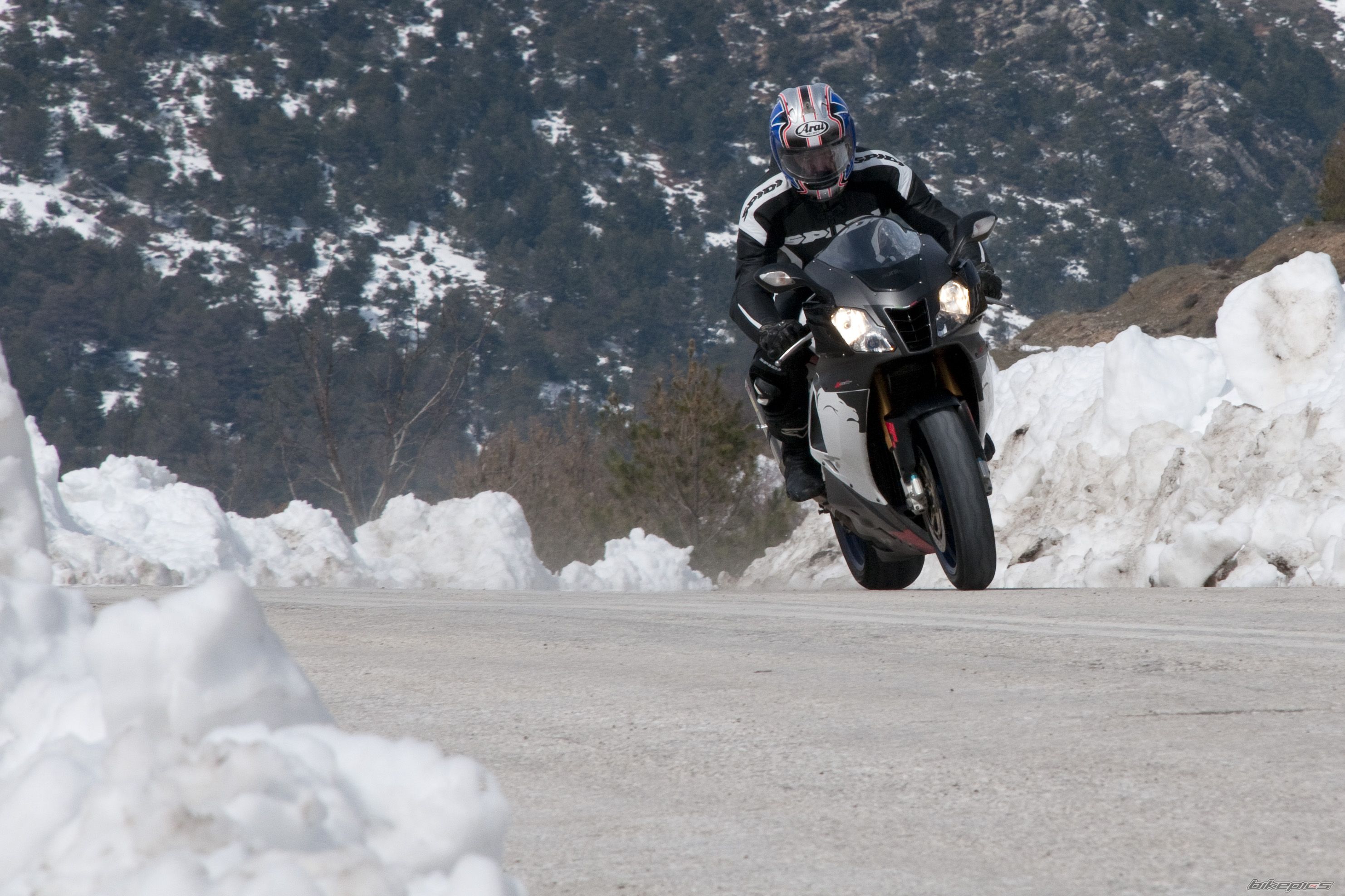 2006 APRILIA RSV 1000R MILLE | Picture 2169796 motorcycle photo