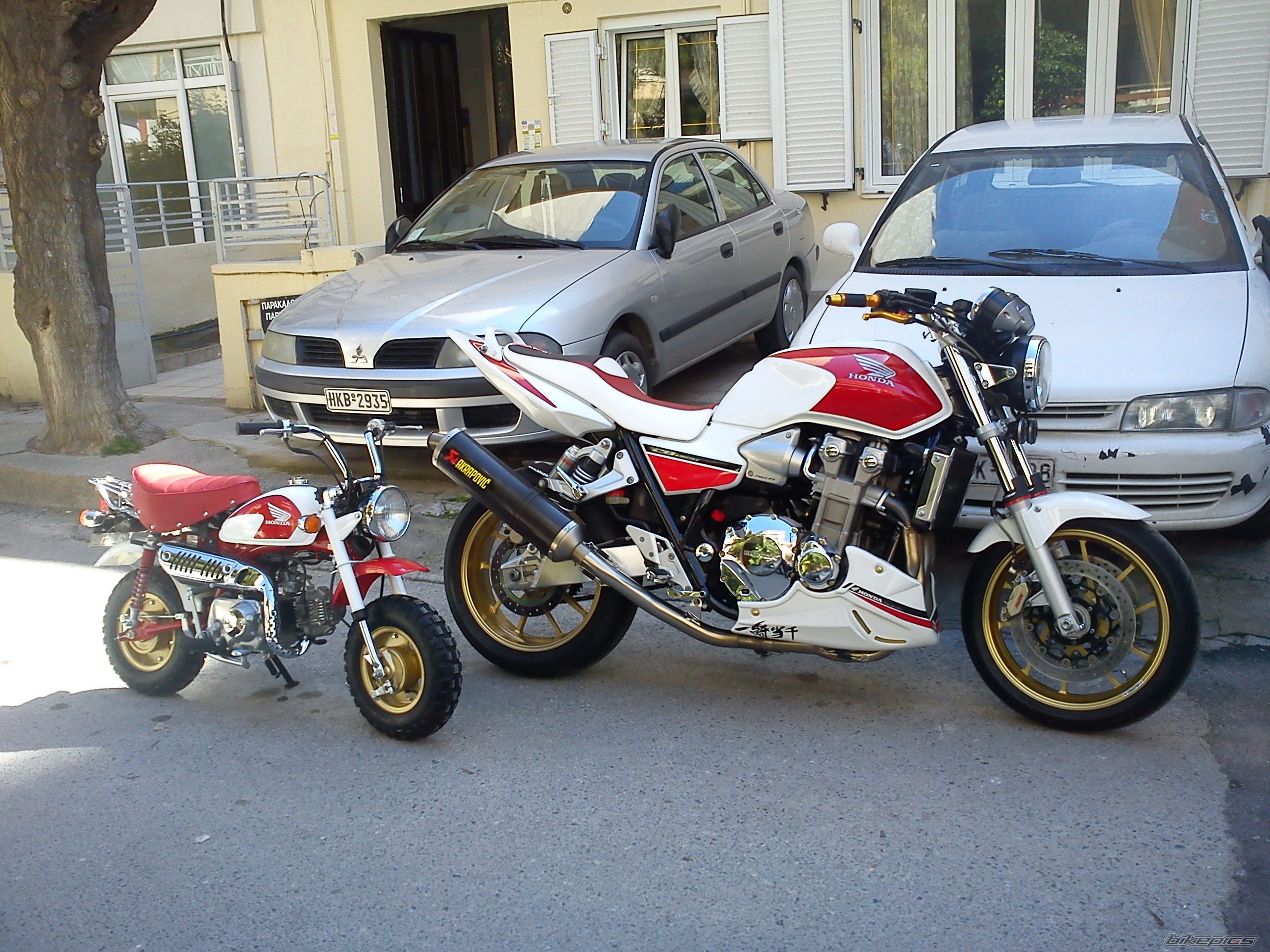 2002 HONDA Z 50 | Picture 2169984 motorcycle photo