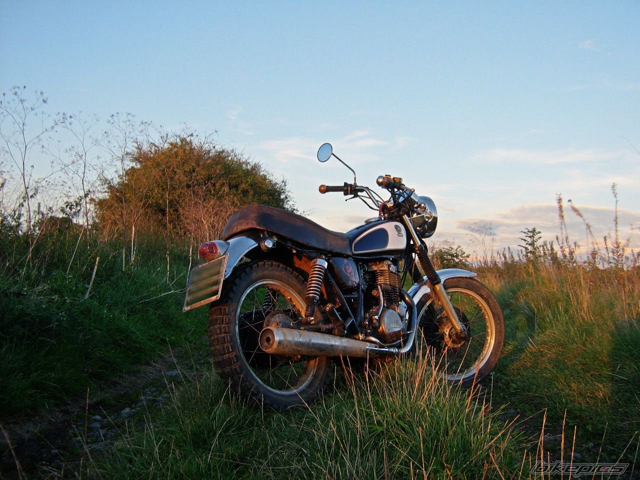 1982 YAMAHA SR 500 | Picture 2170062 motorcycle photo