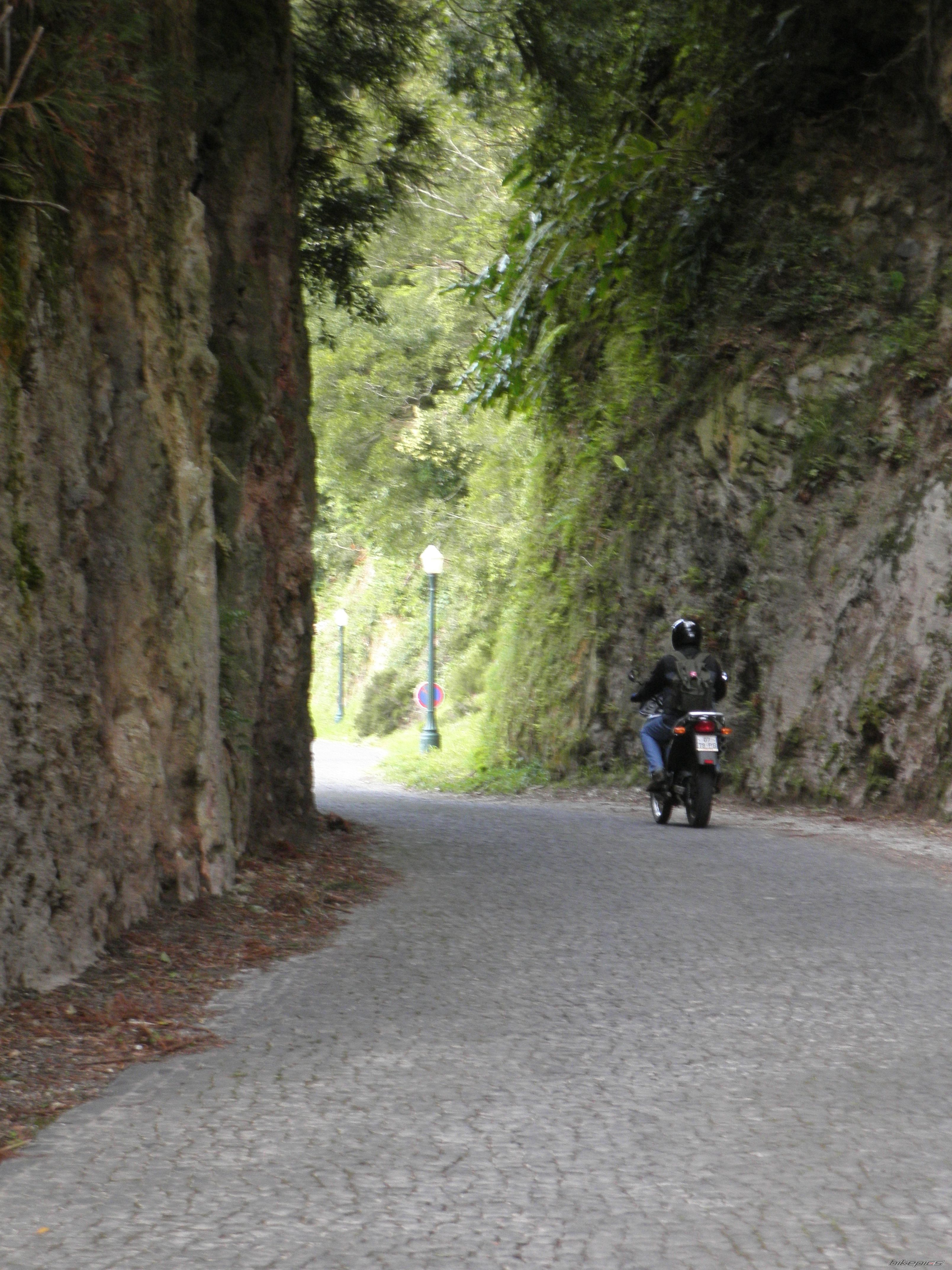 2006 HONDA TRANSALP RALLY TOURING | Picture 2170296 motorcycle photo