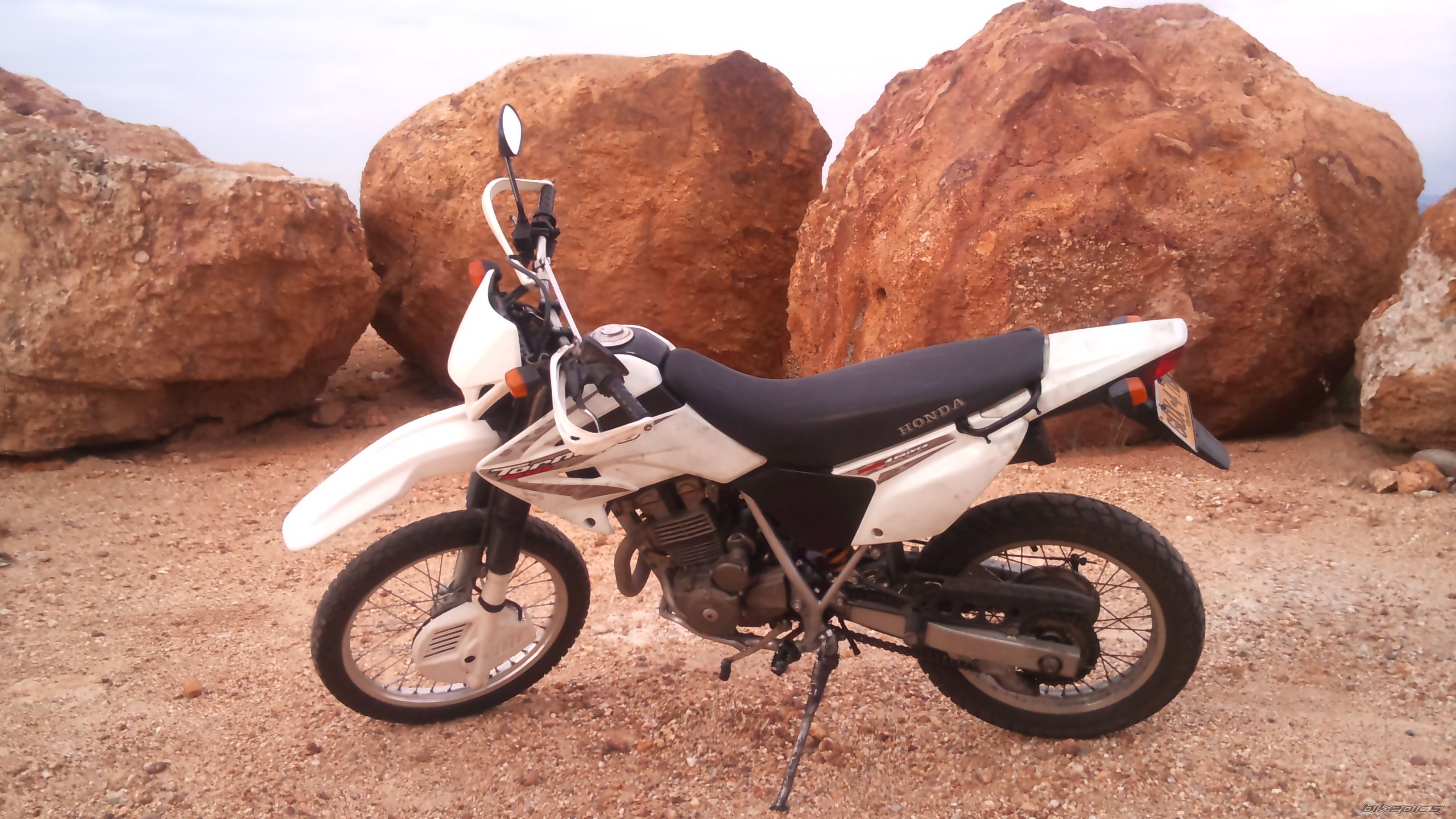 2008 HONDA XR 250 | Picture 2170689 motorcycle photo