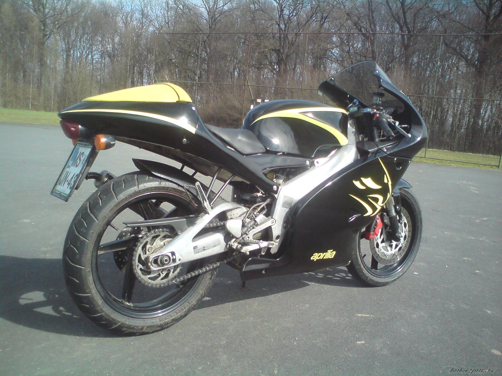 2009 APRILIA RS 50 | Picture 2171820 motorcycle photo