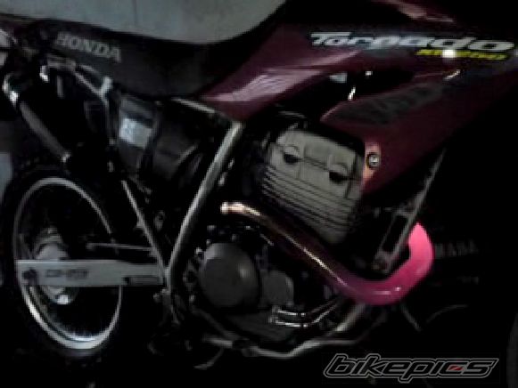 2008 HONDA XR 250 | Picture 2172374 motorcycle photo