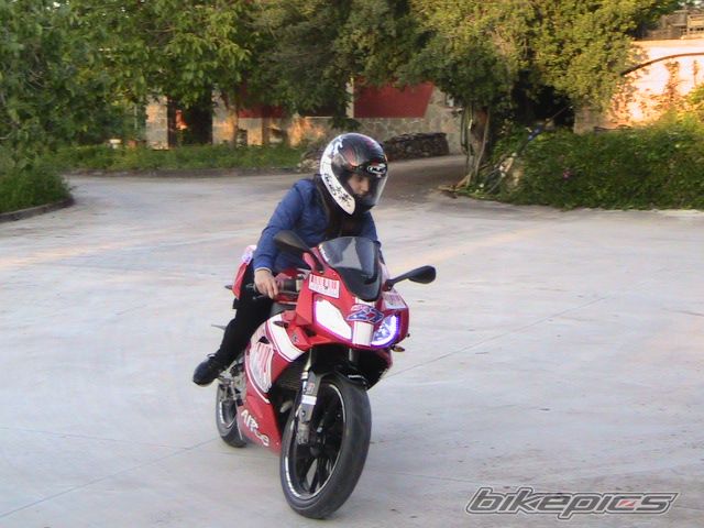 2010 APRILIA RS 50 | Picture 2172409 motorcycle photo