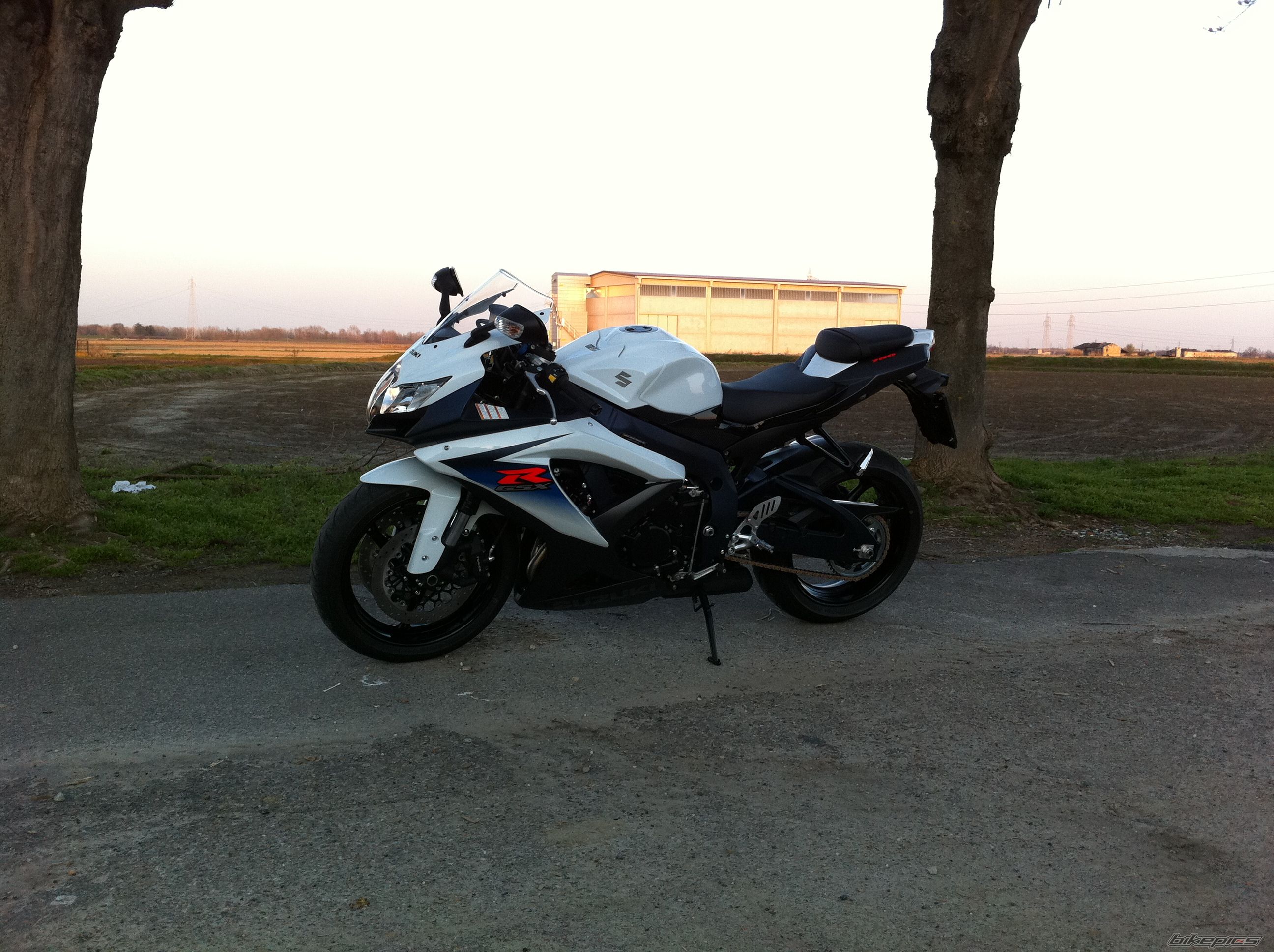 2010 SUZUKI GSX R 750 | Picture 2173002 motorcycle photo