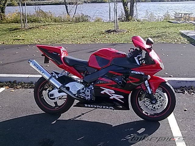 2002 HONDA CBR 954RR | Picture 2173120 motorcycle photo
