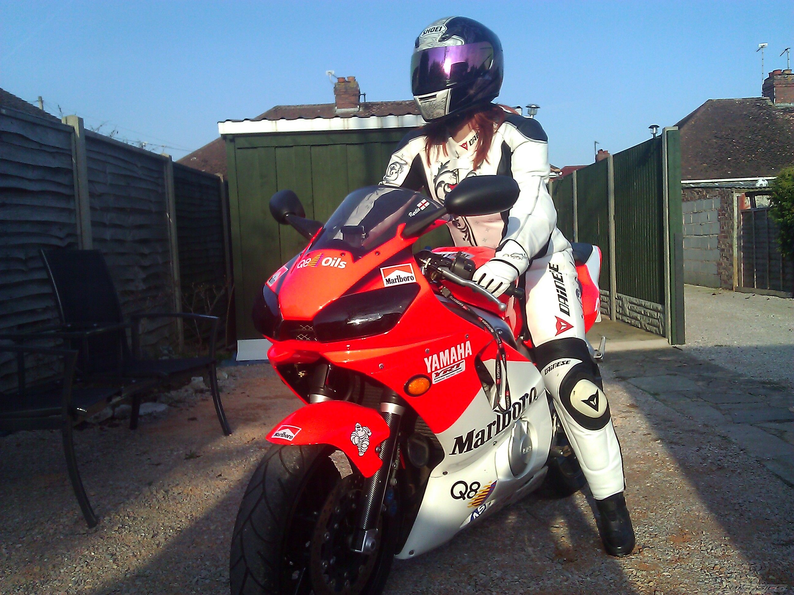 1999 YAMAHA YZF R6 | Picture 2173211 motorcycle photo