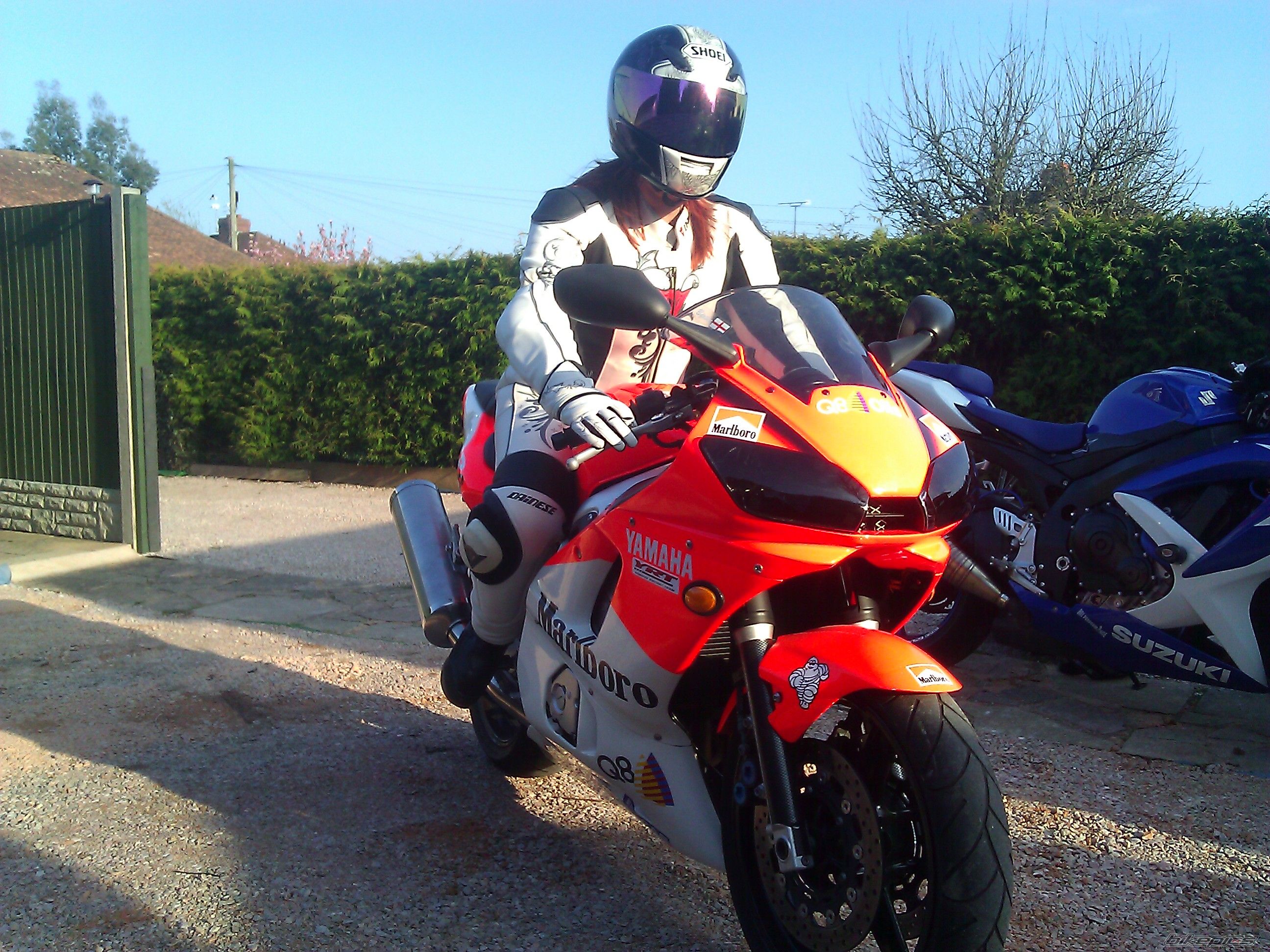 1999 YAMAHA YZF R6 | Picture 2173212 motorcycle photo
