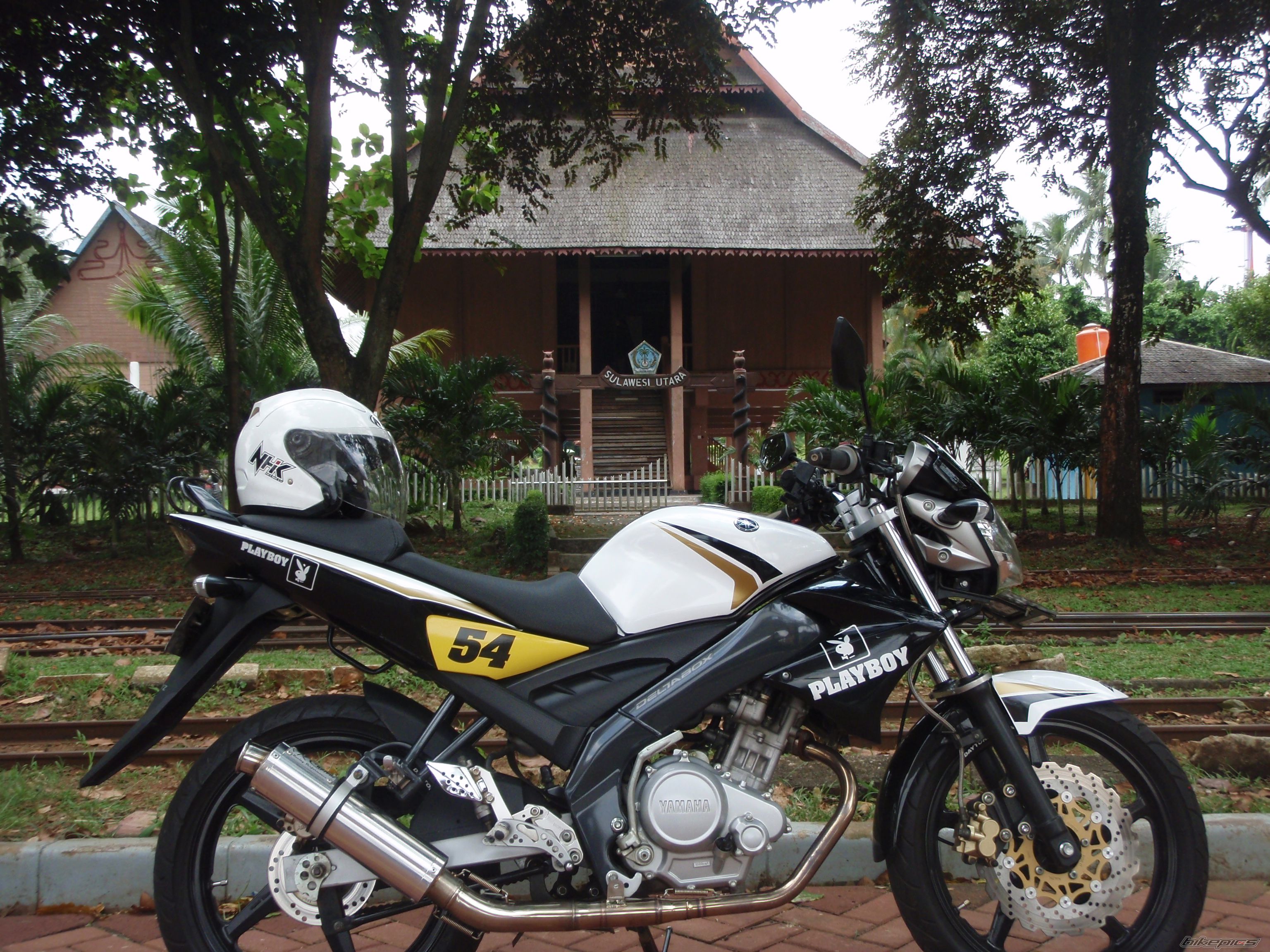 2010 YAMAHA FZ 150 | Picture 2173794 motorcycle photo