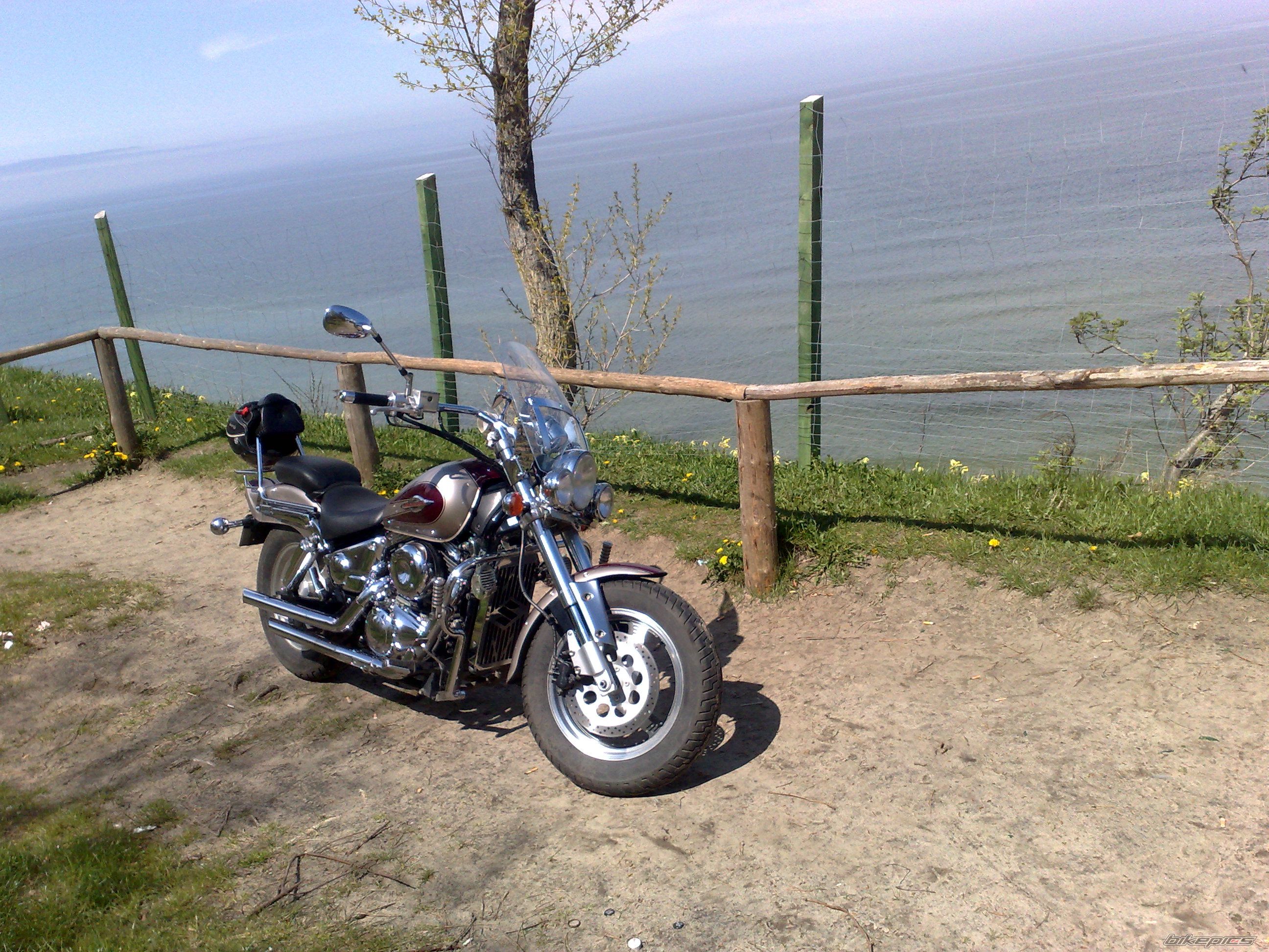 1999 SUZUKI MARAUDER VZ 800 | Picture 2174223 motorcycle photo