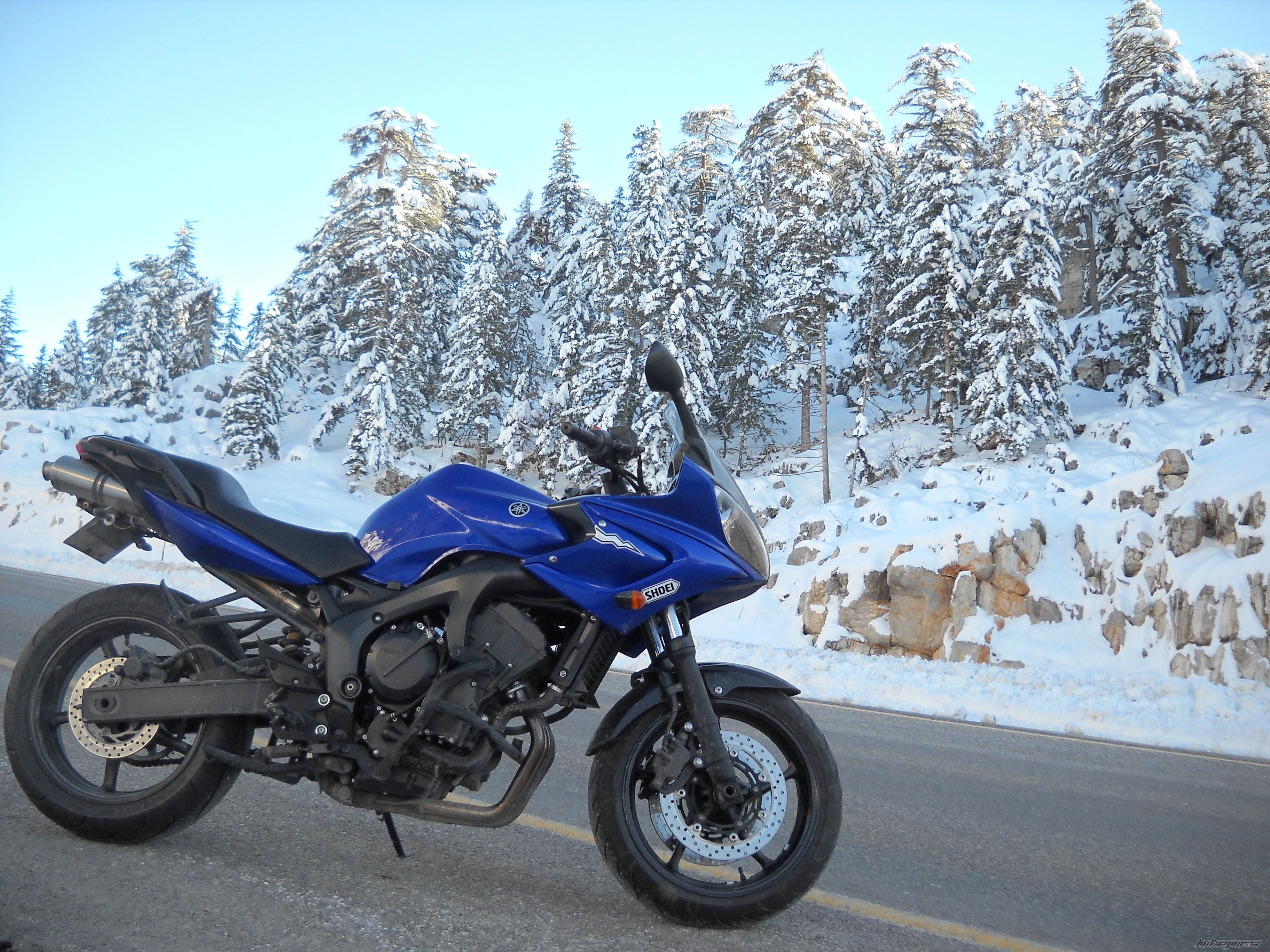 2006 YAMAHA FZ6 FAZER | Picture 2174557 motorcycle photo