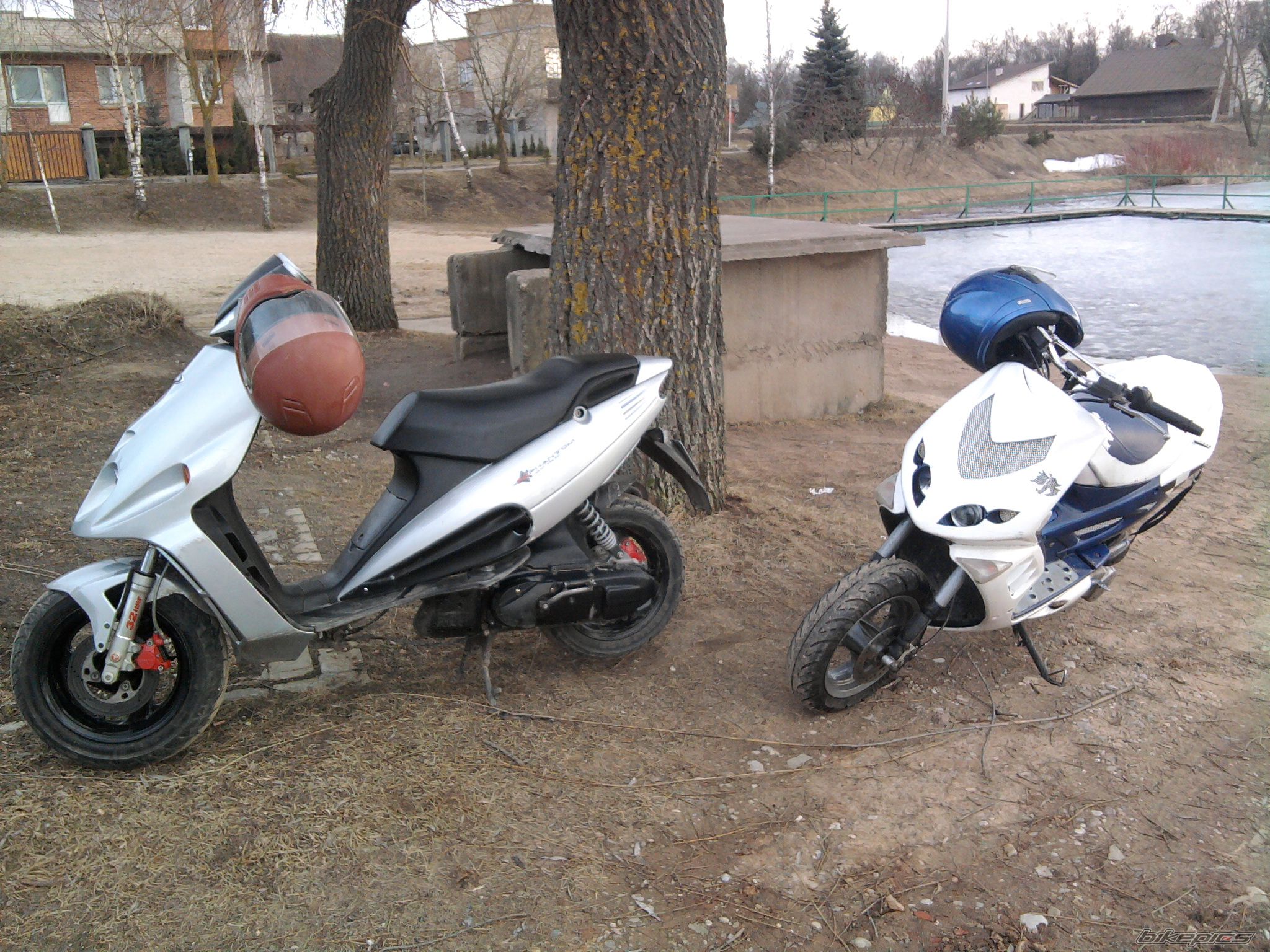 2005 PEUGEOT SPEEDFIGHT2 50 | Picture 2174988 motorcycle photo